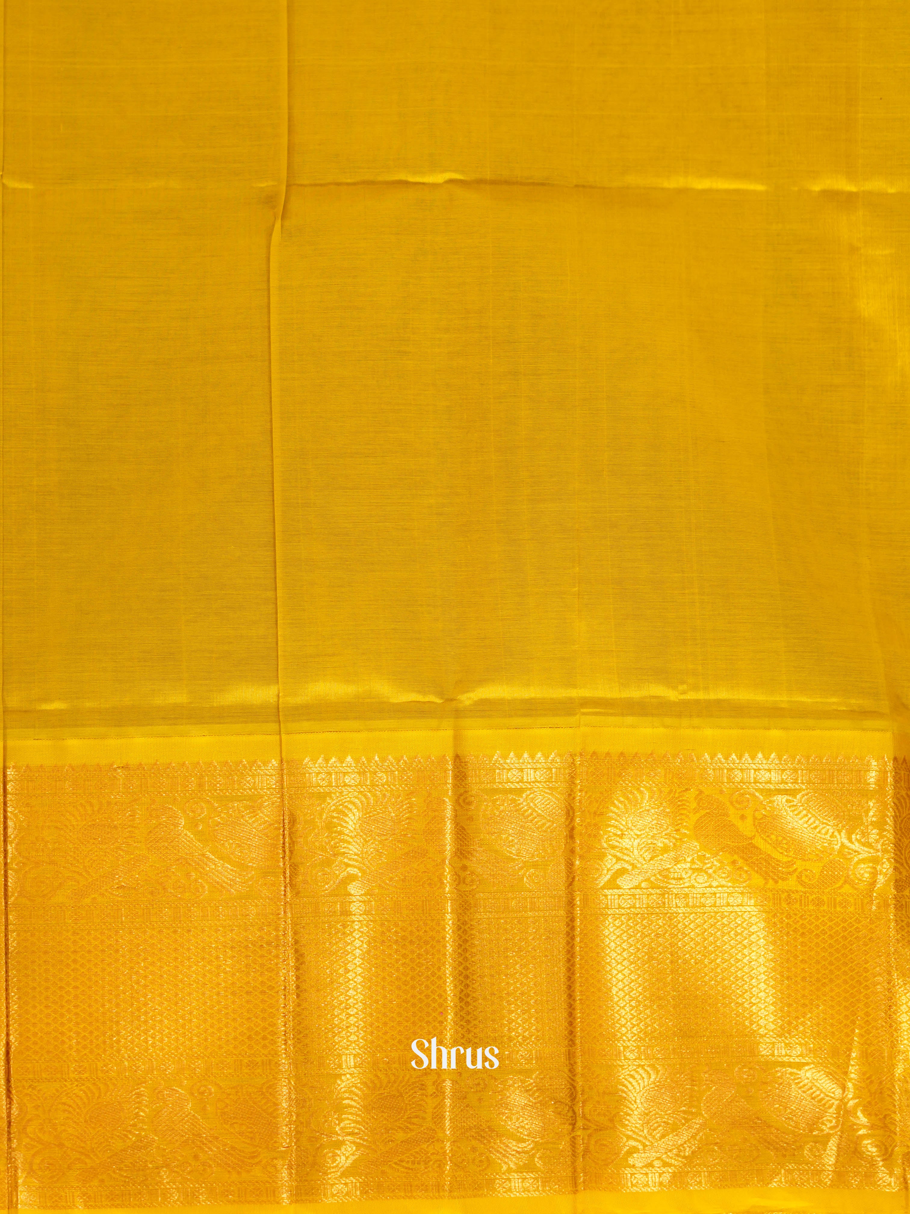 Honey with purple  -  Silk Cotton saree