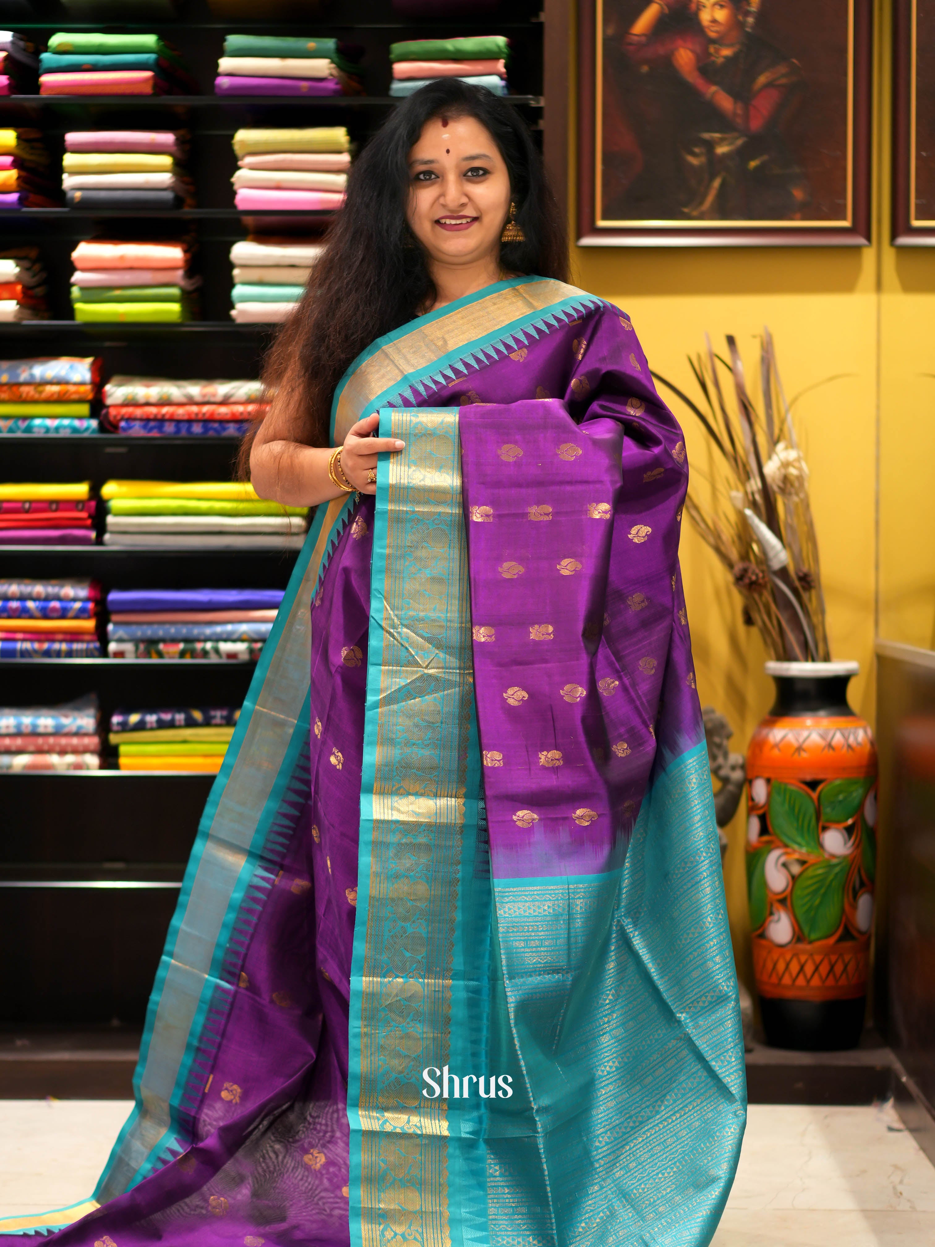 Violet & Teal - Silk cotton Saree