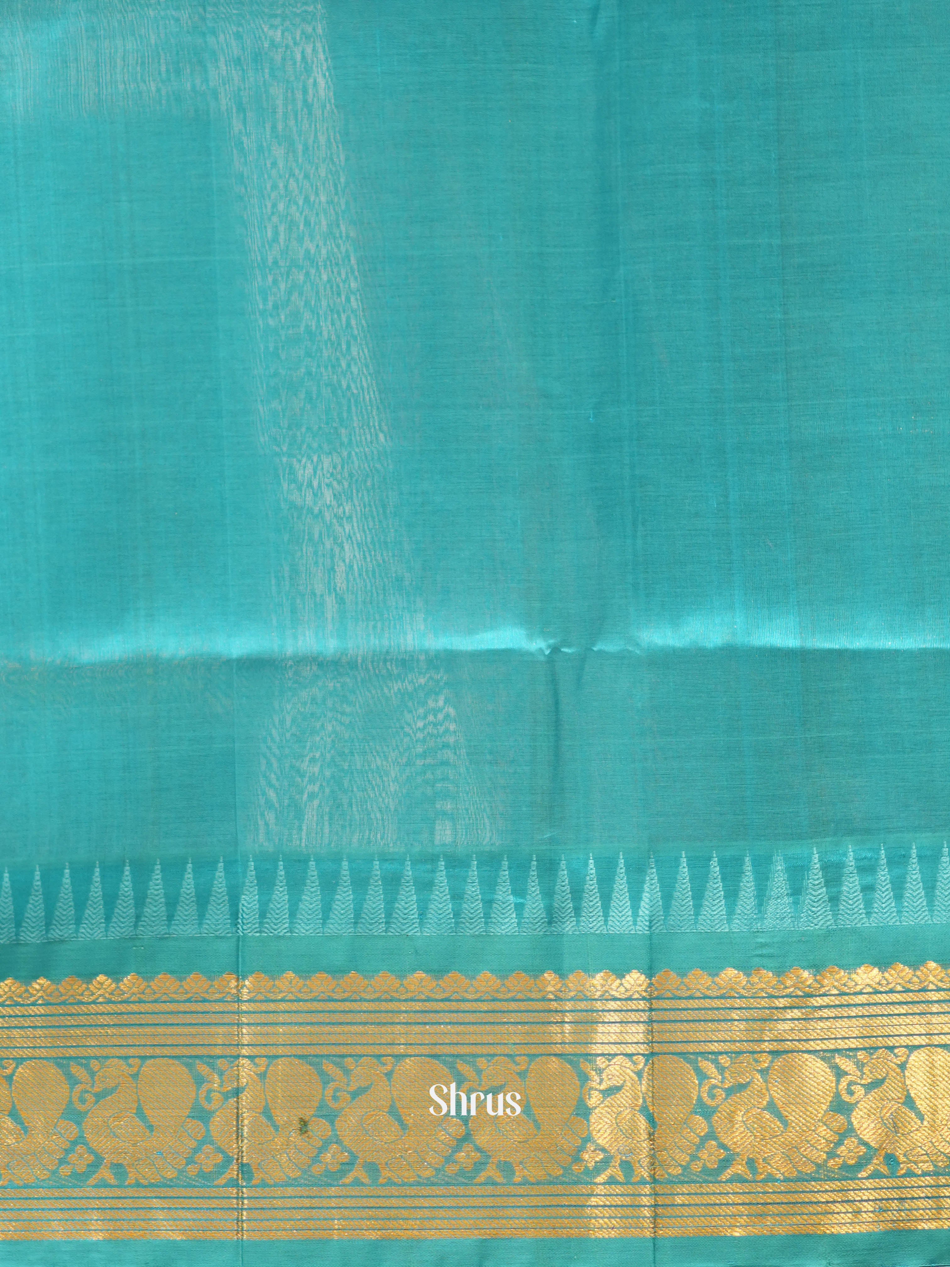 Violet & Teal - Silk cotton Saree