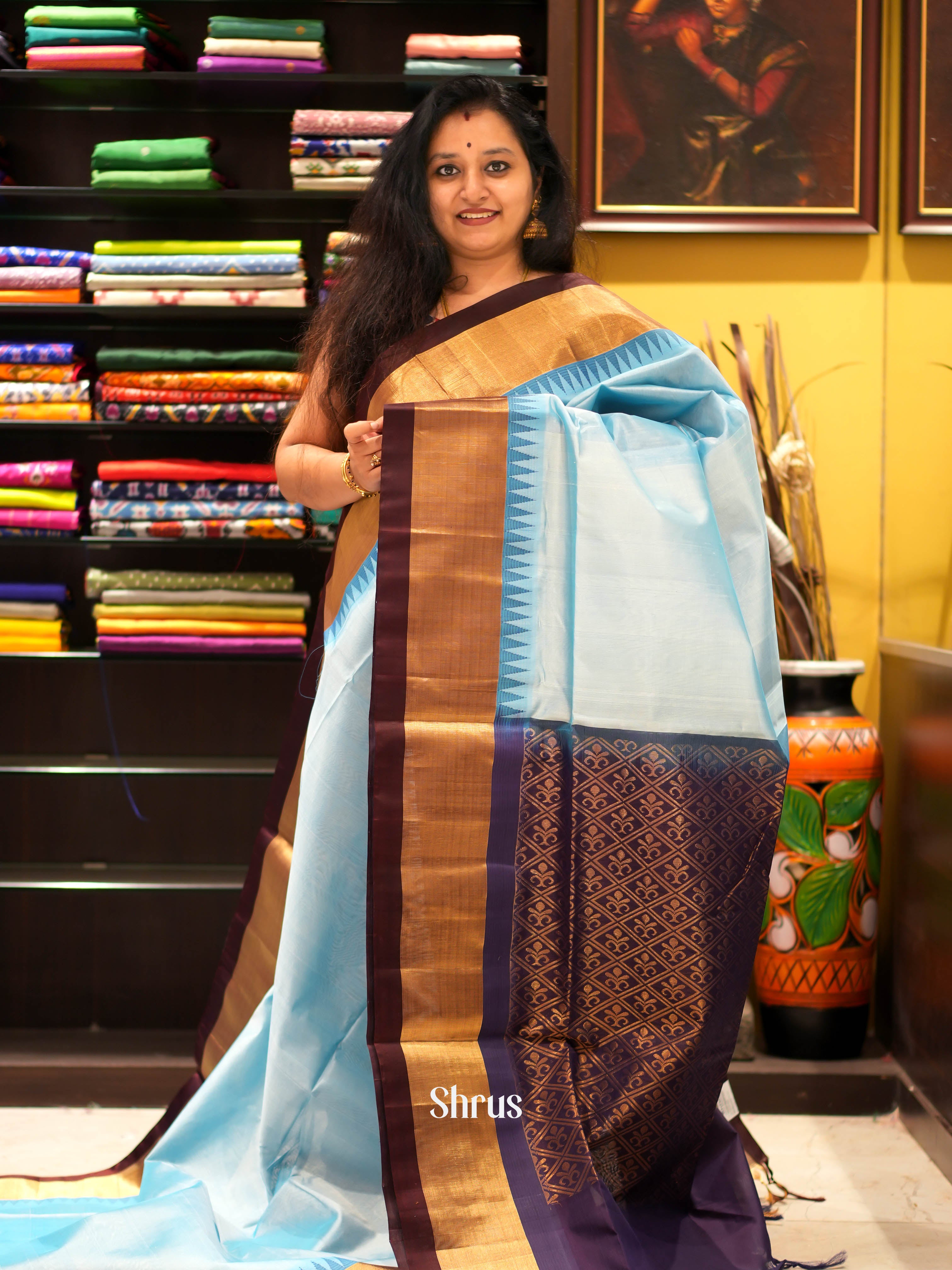 Blue & Brown - Silk Cotton Saree