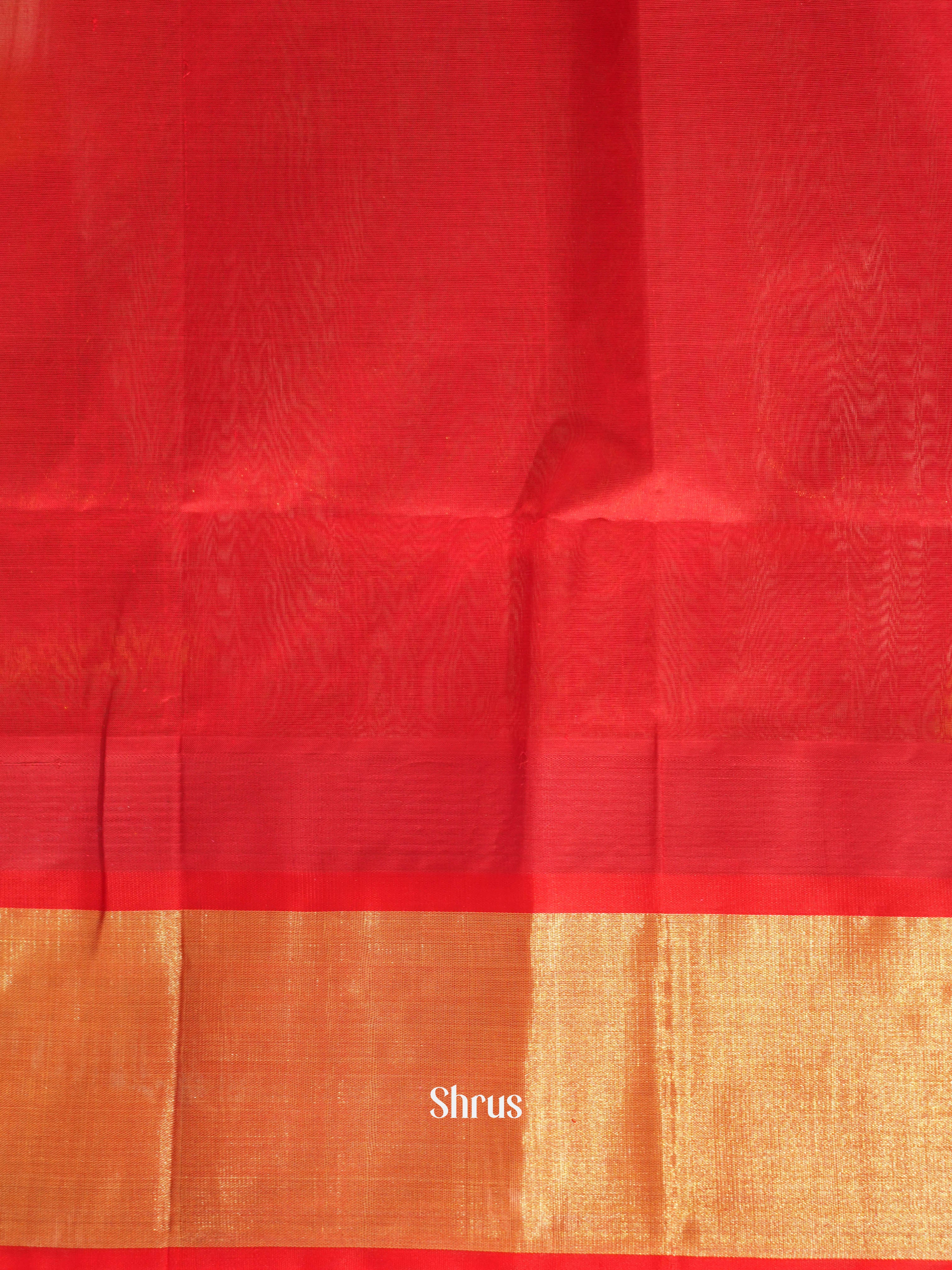 Green & Red - Silk Cotton Saree