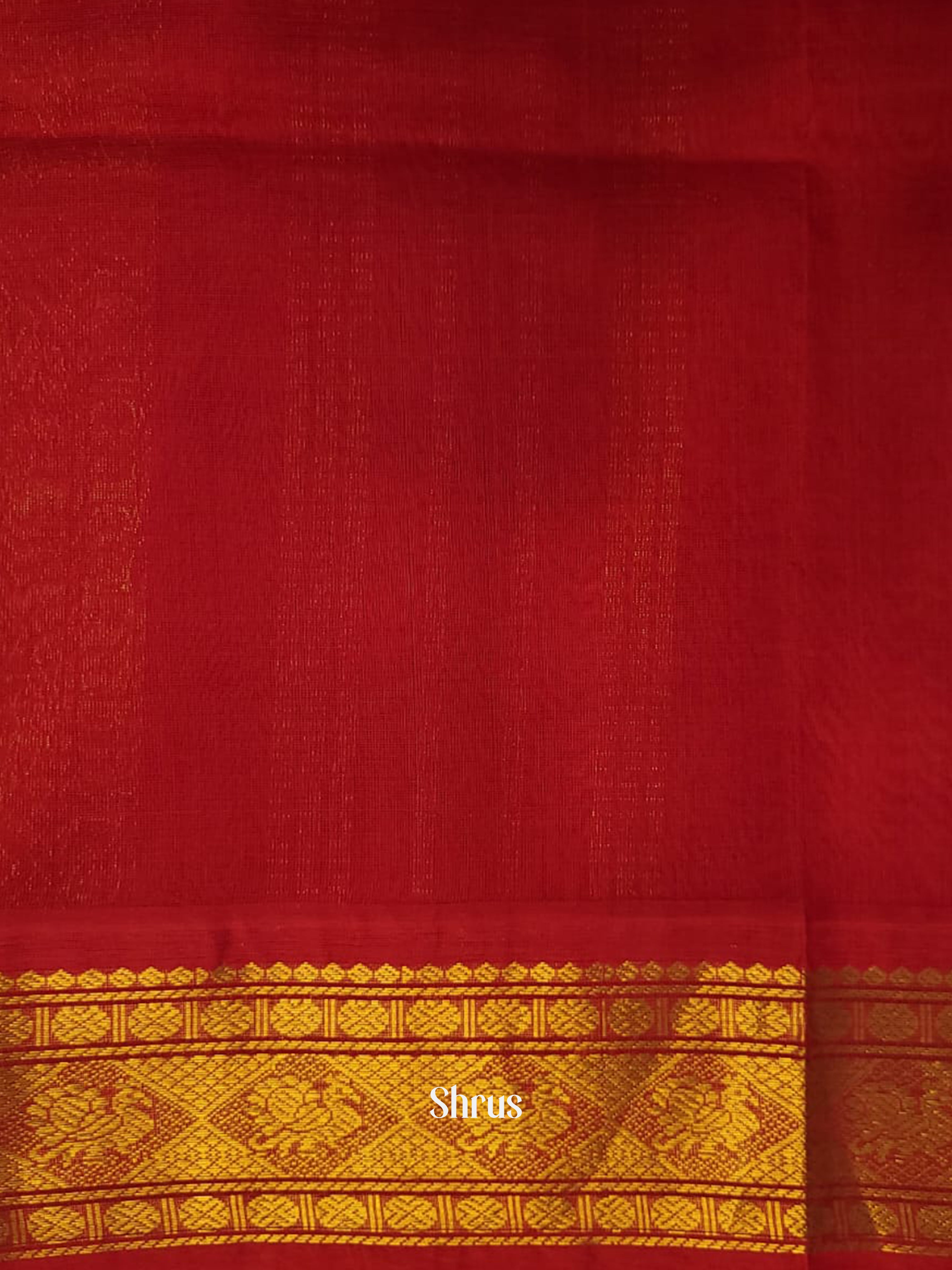 Navy Blue & Red - Silk Cotton Saree