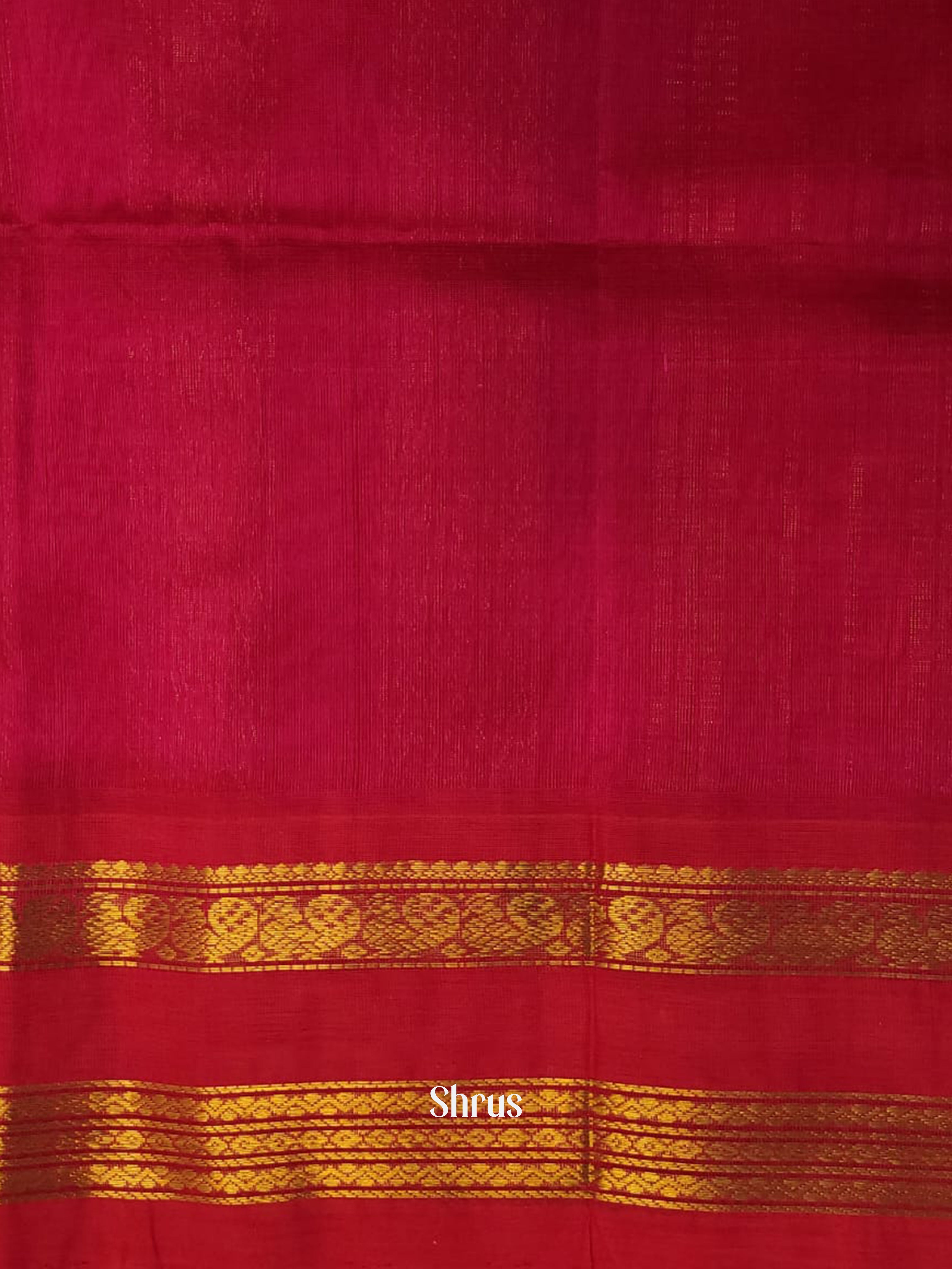 Blue & Pink - Silk Cotton Saree