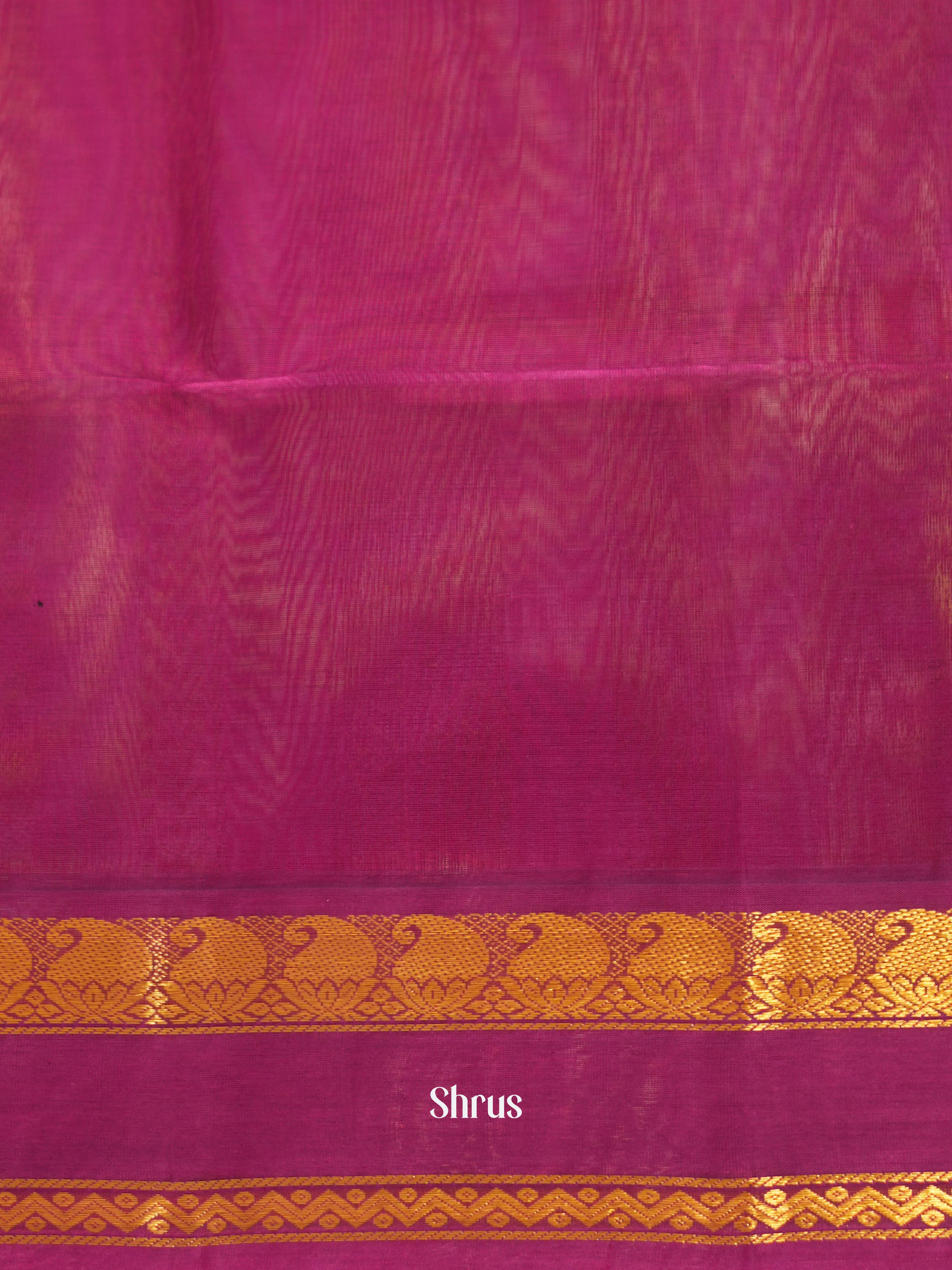 Green & Pink - Silk Cotton Saree