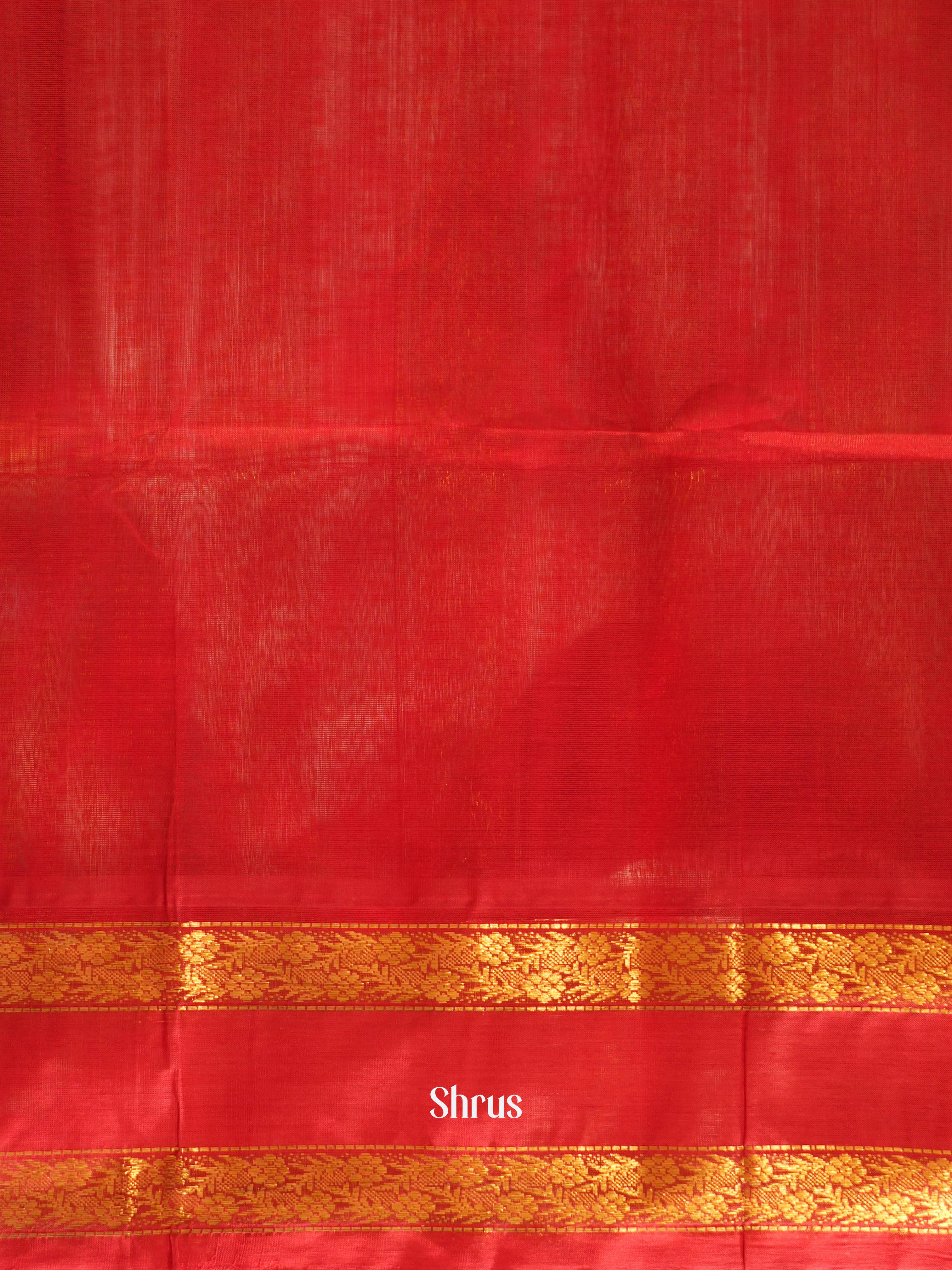 Light Green & Red - Silk Cotton Saree