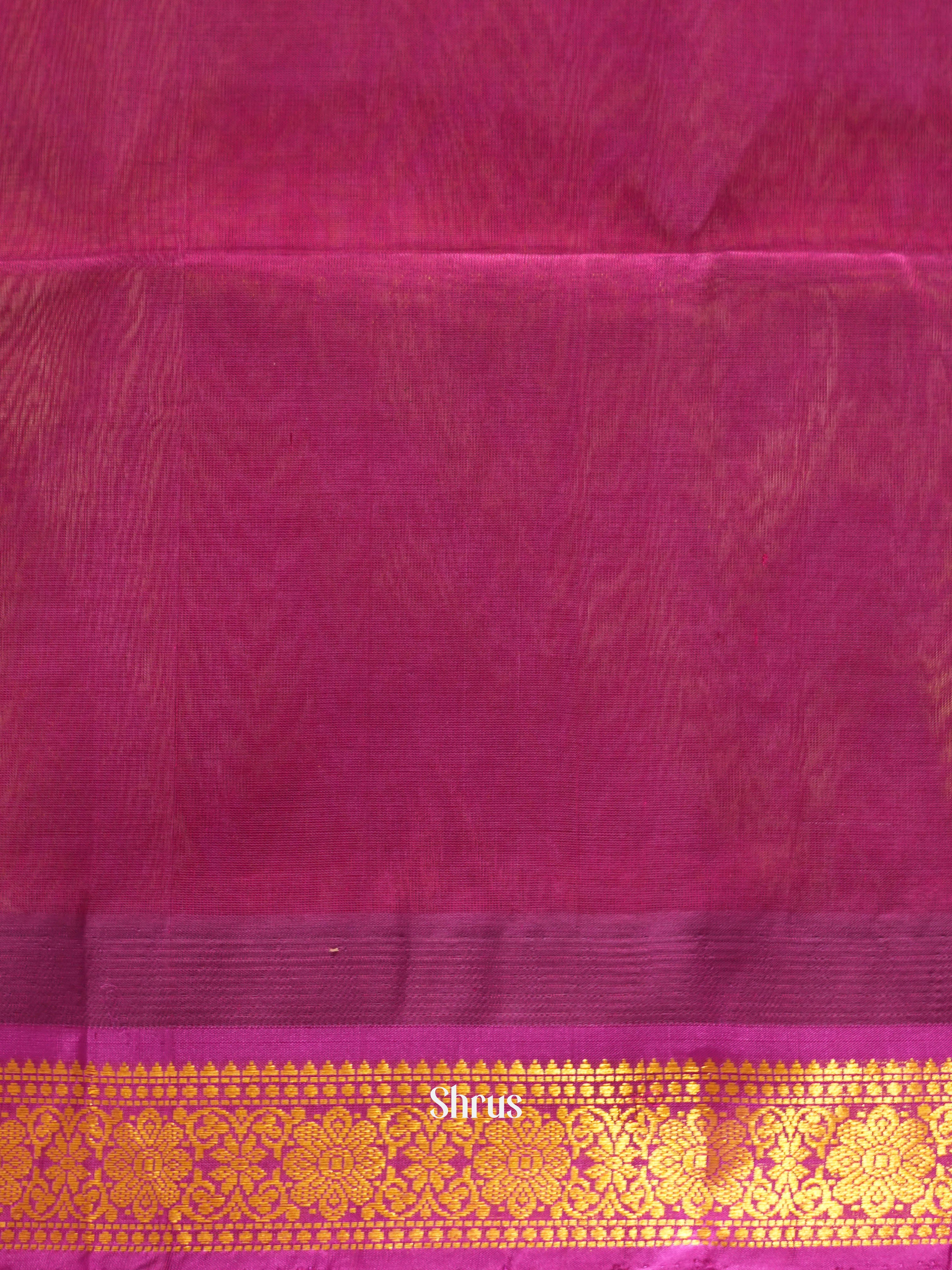 Teal  & Purple - Silk Cotton Saree