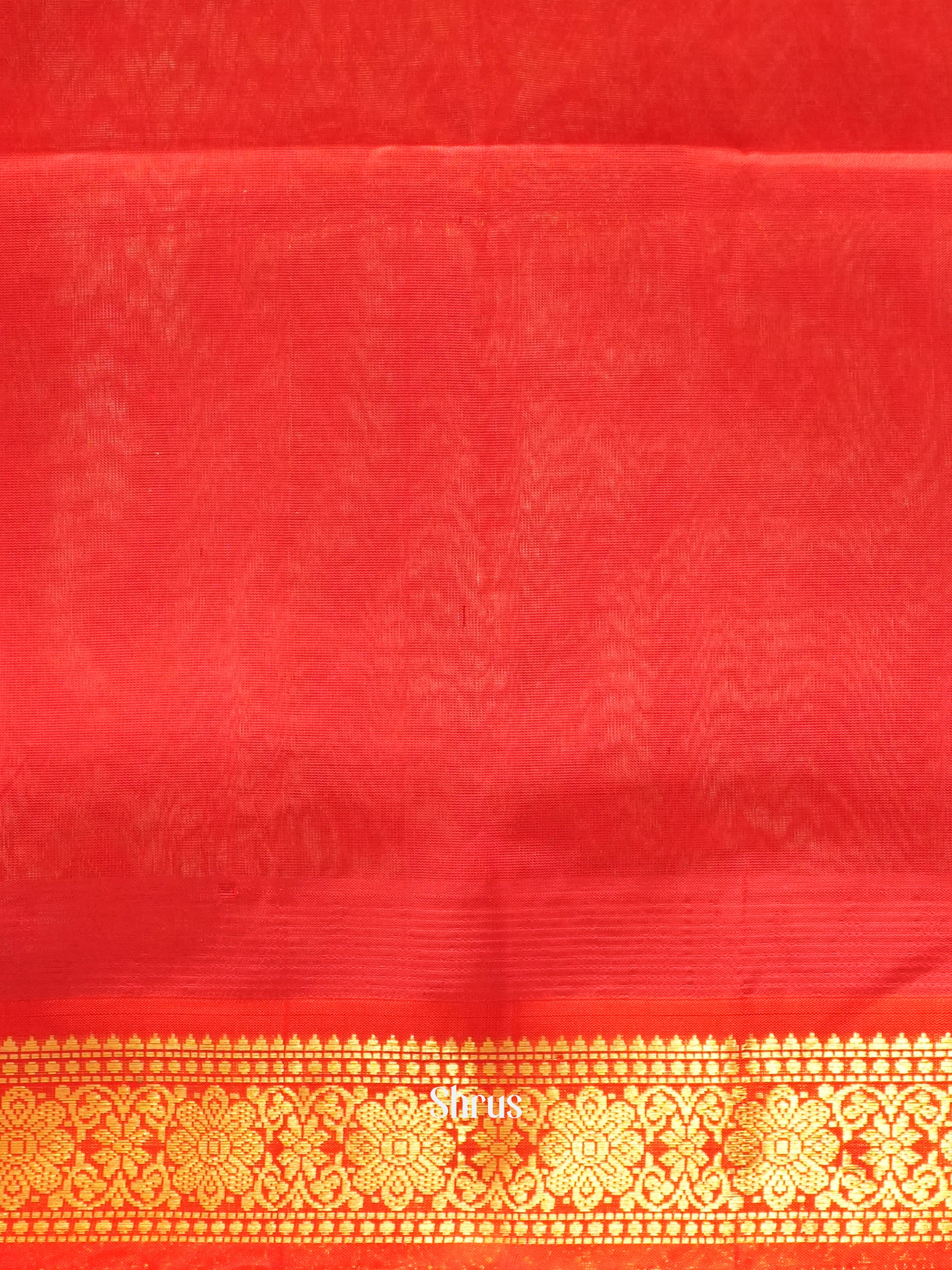 Green & Red - Silk Cotton Saree