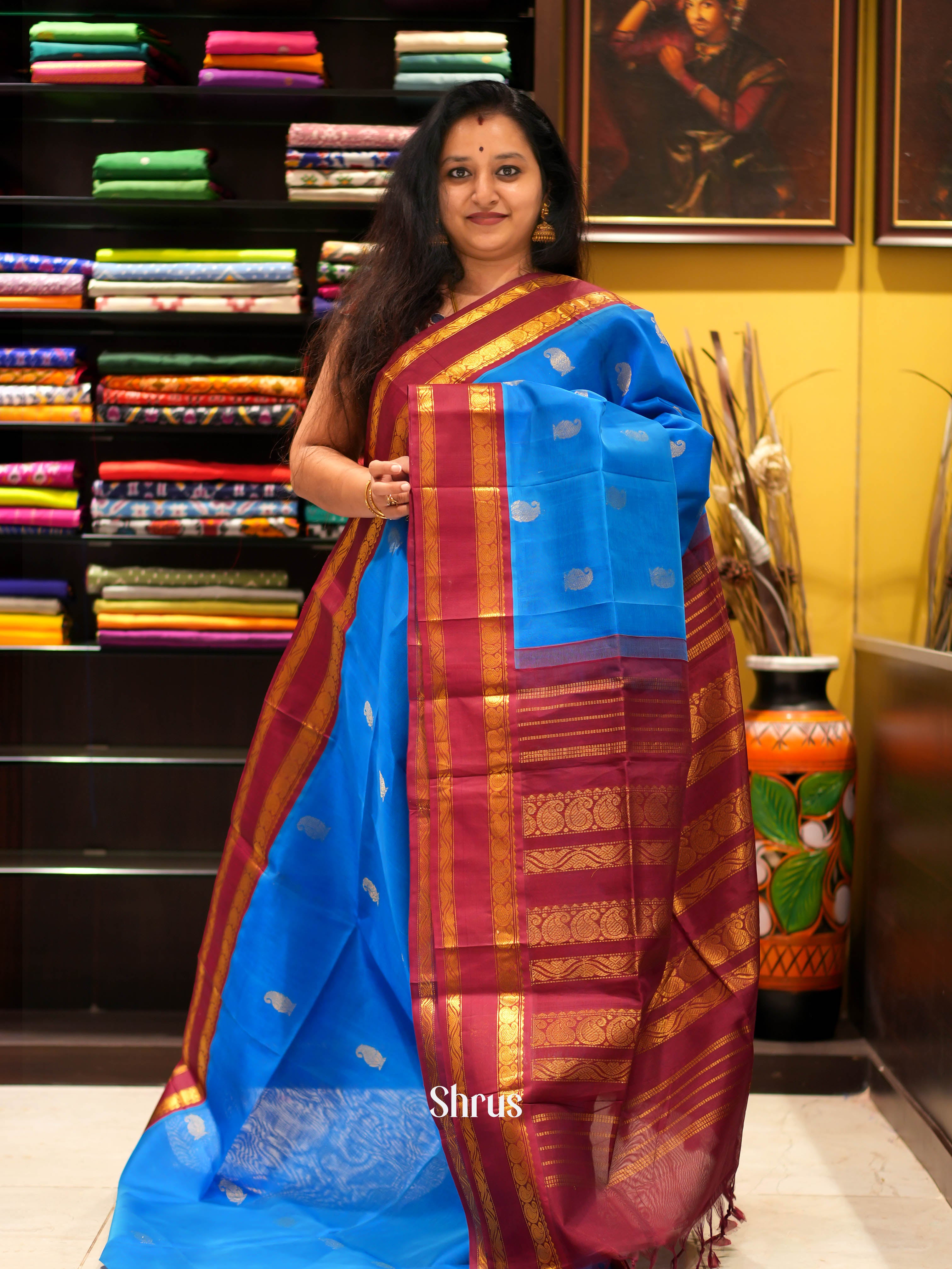 Blue & Maroon - Silk Cotton Saree