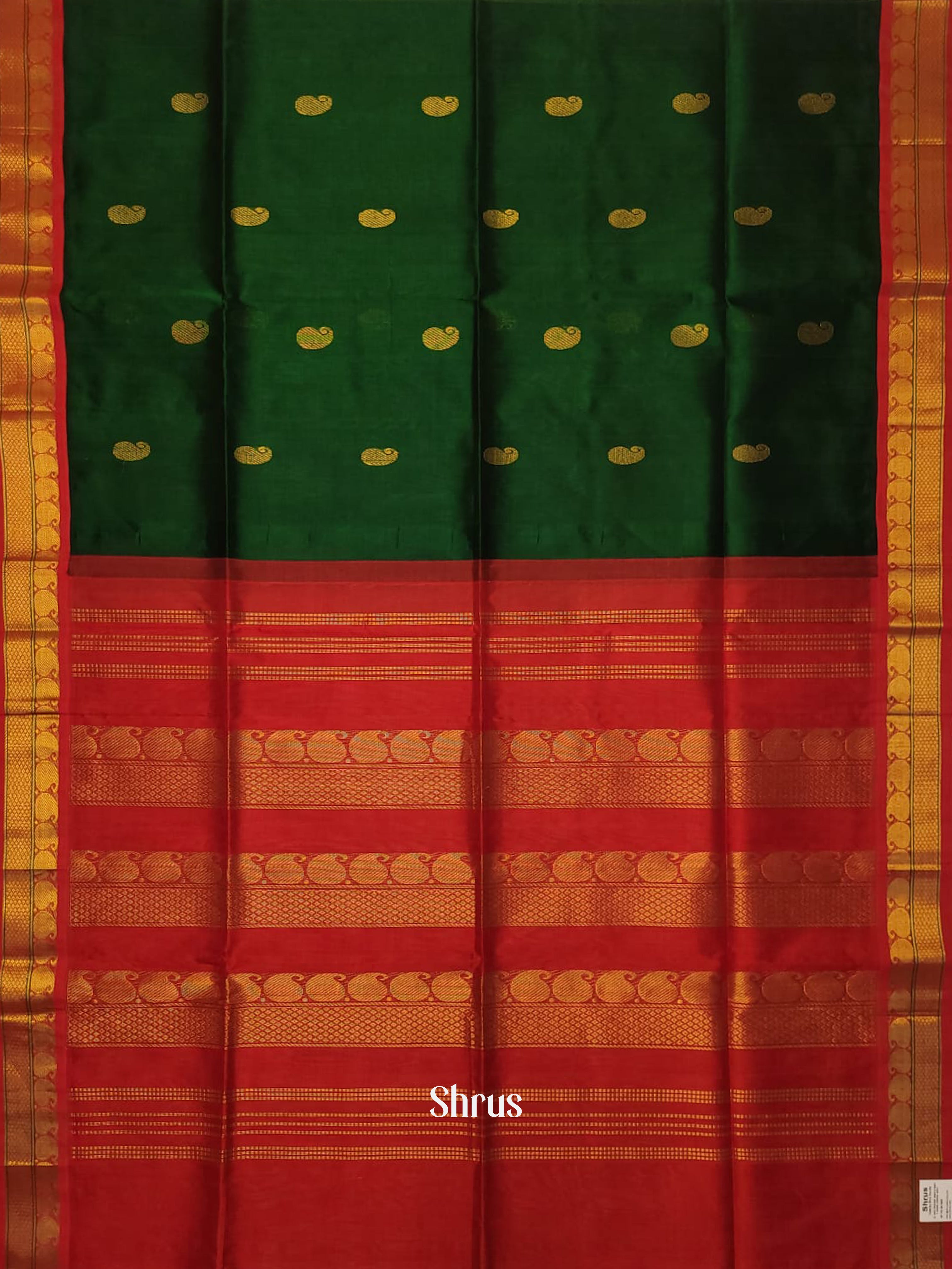 Bottle Green  & Red - Silk Cotton Saree