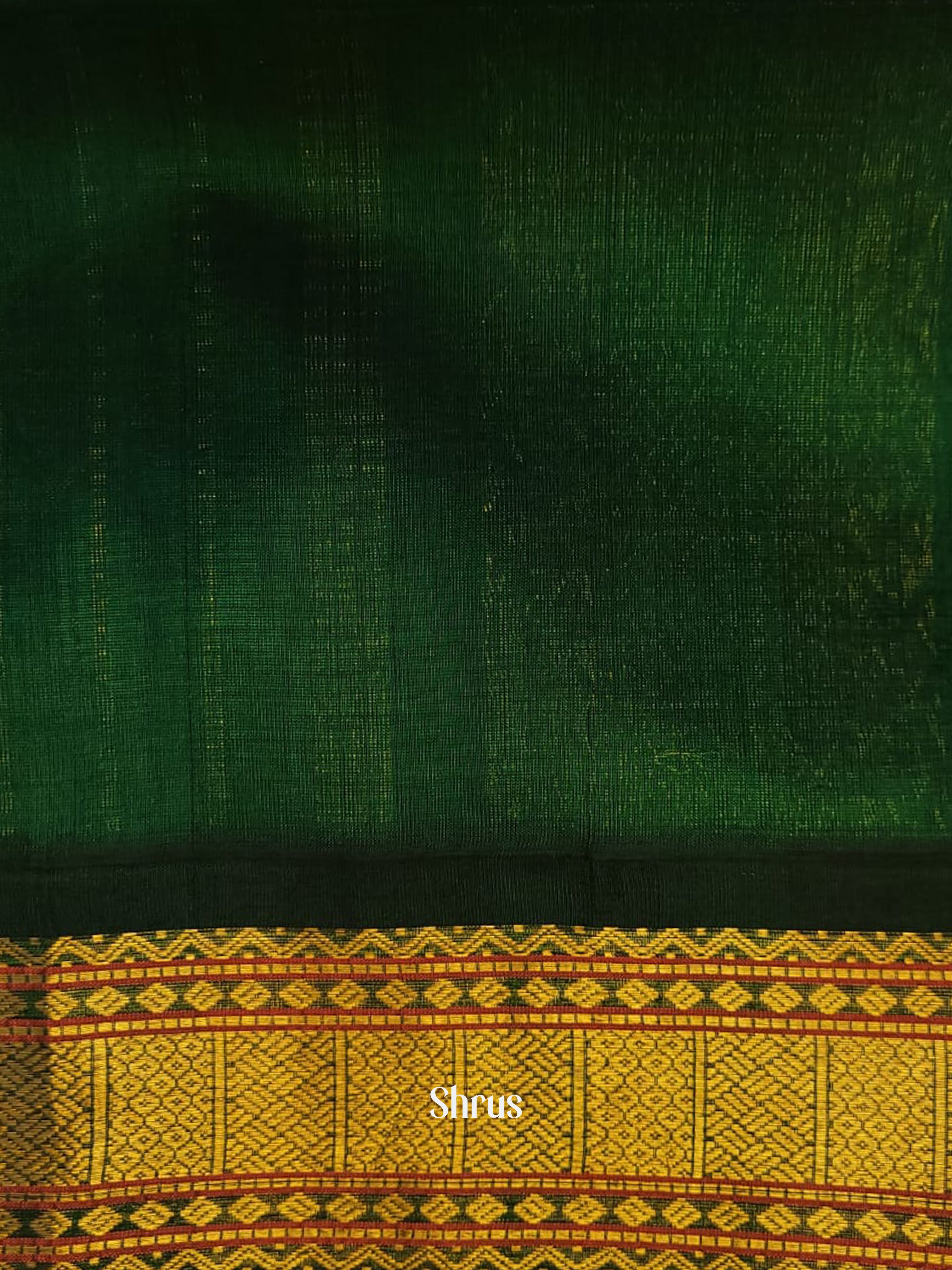 Yellow & Green - Silk Cotton Saree