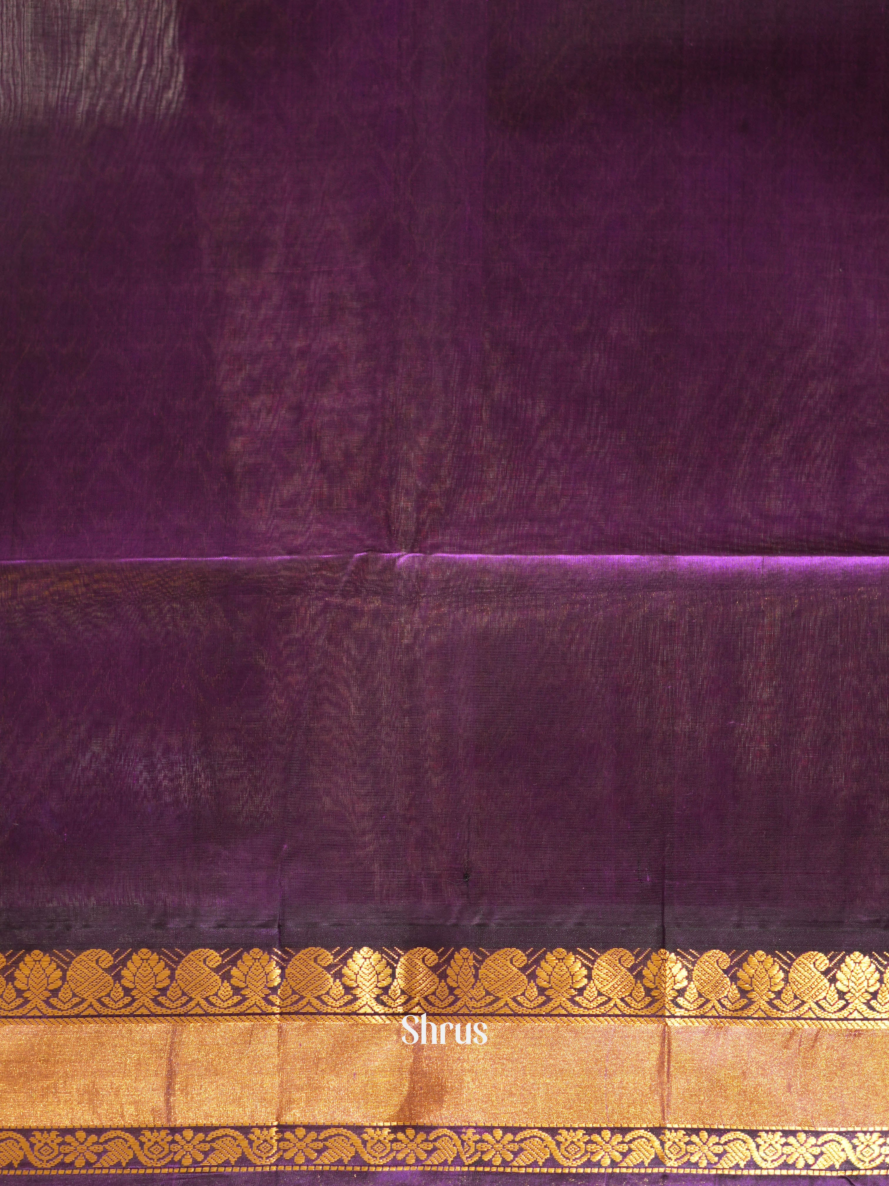 Green & Violet - Silk Cotton Saree