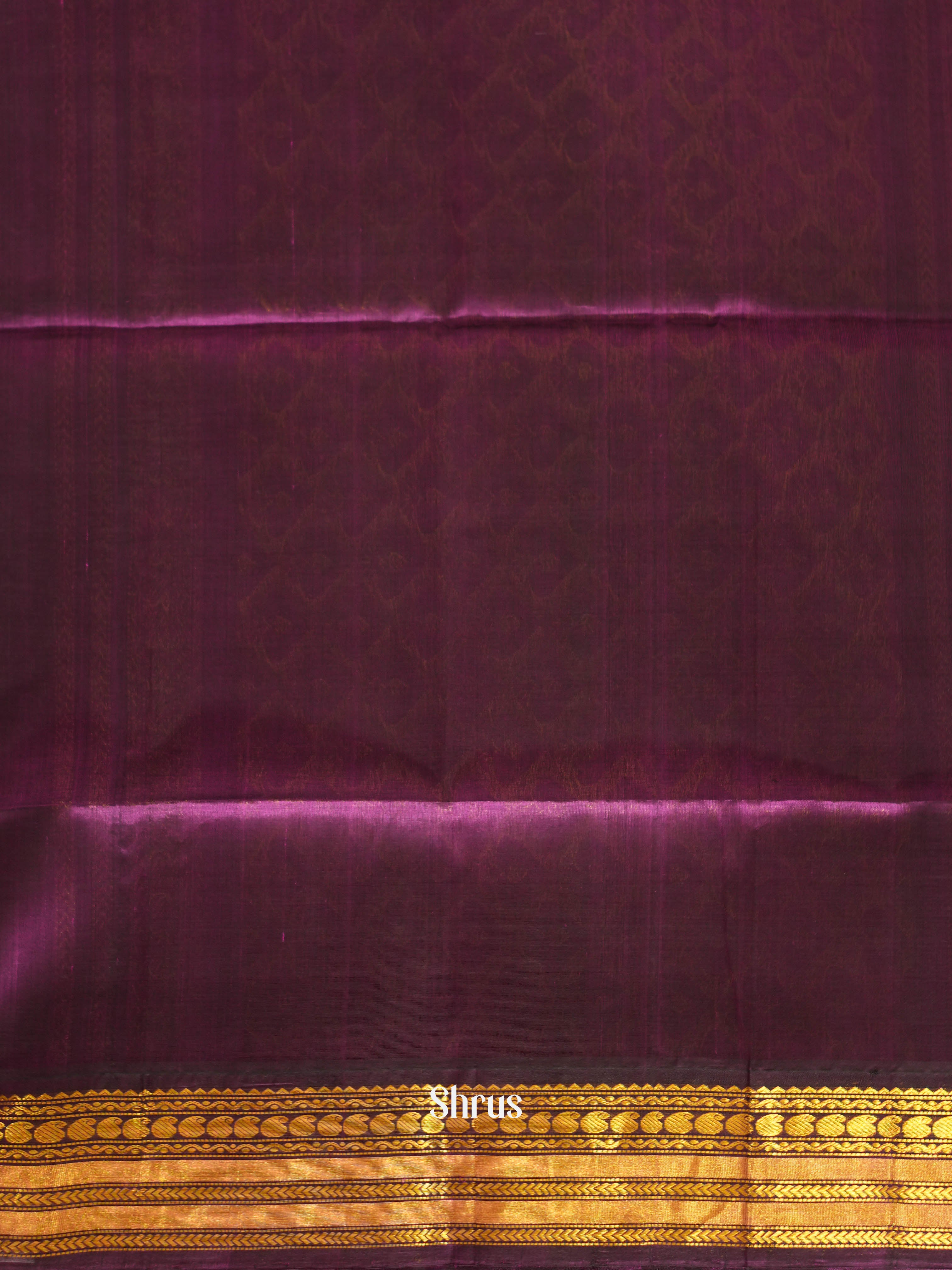 Green & Purple - Silk Cotton Saree