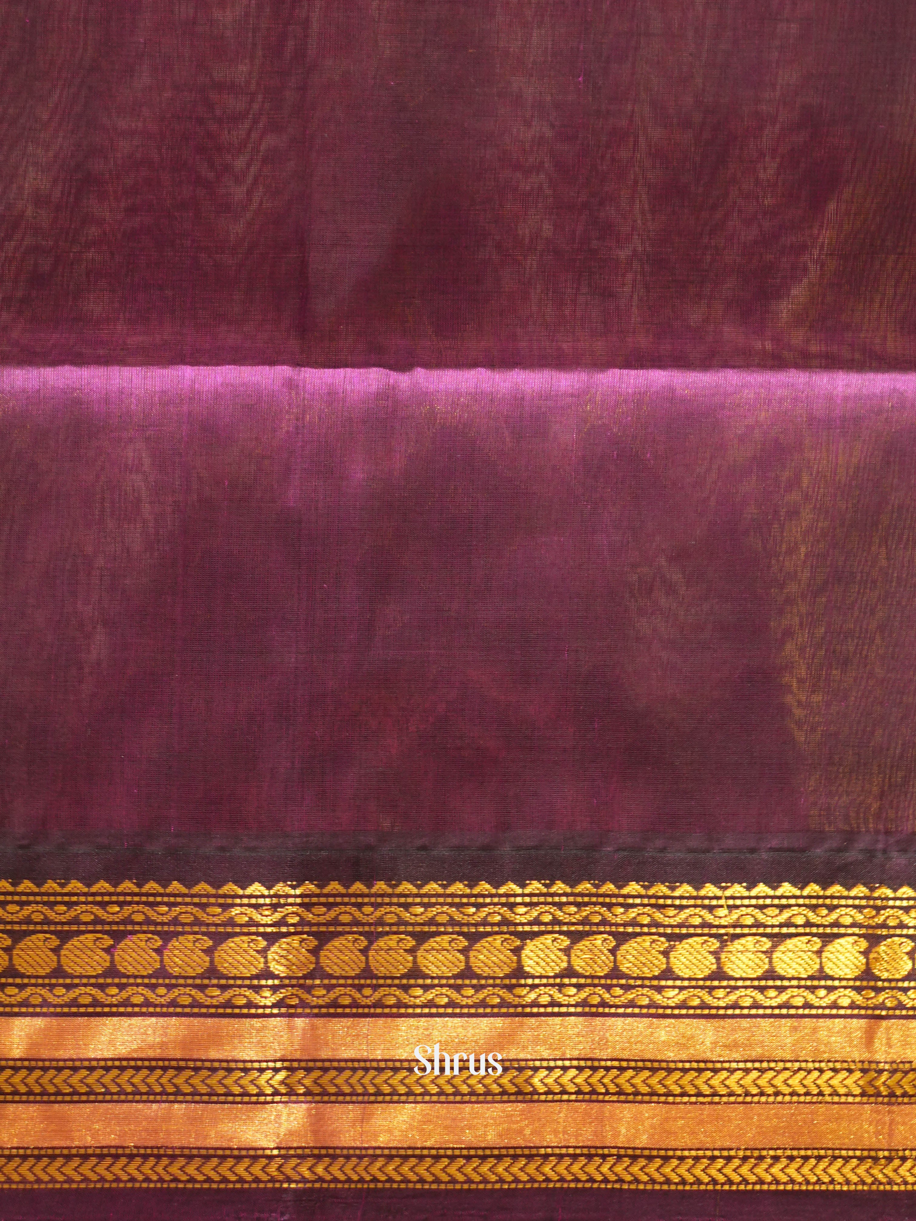 Blue & Purple - Silk Cotton Saree