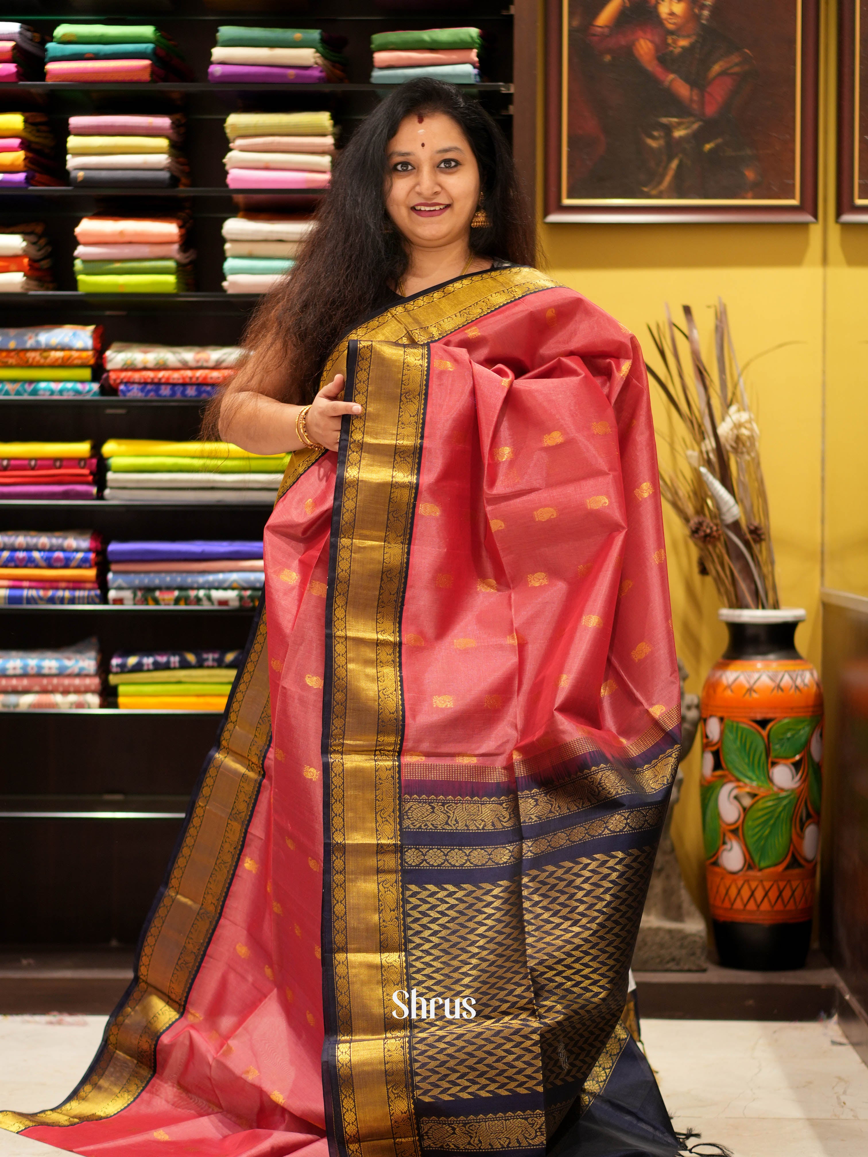 Red & Blue- Silk Cotton Saree