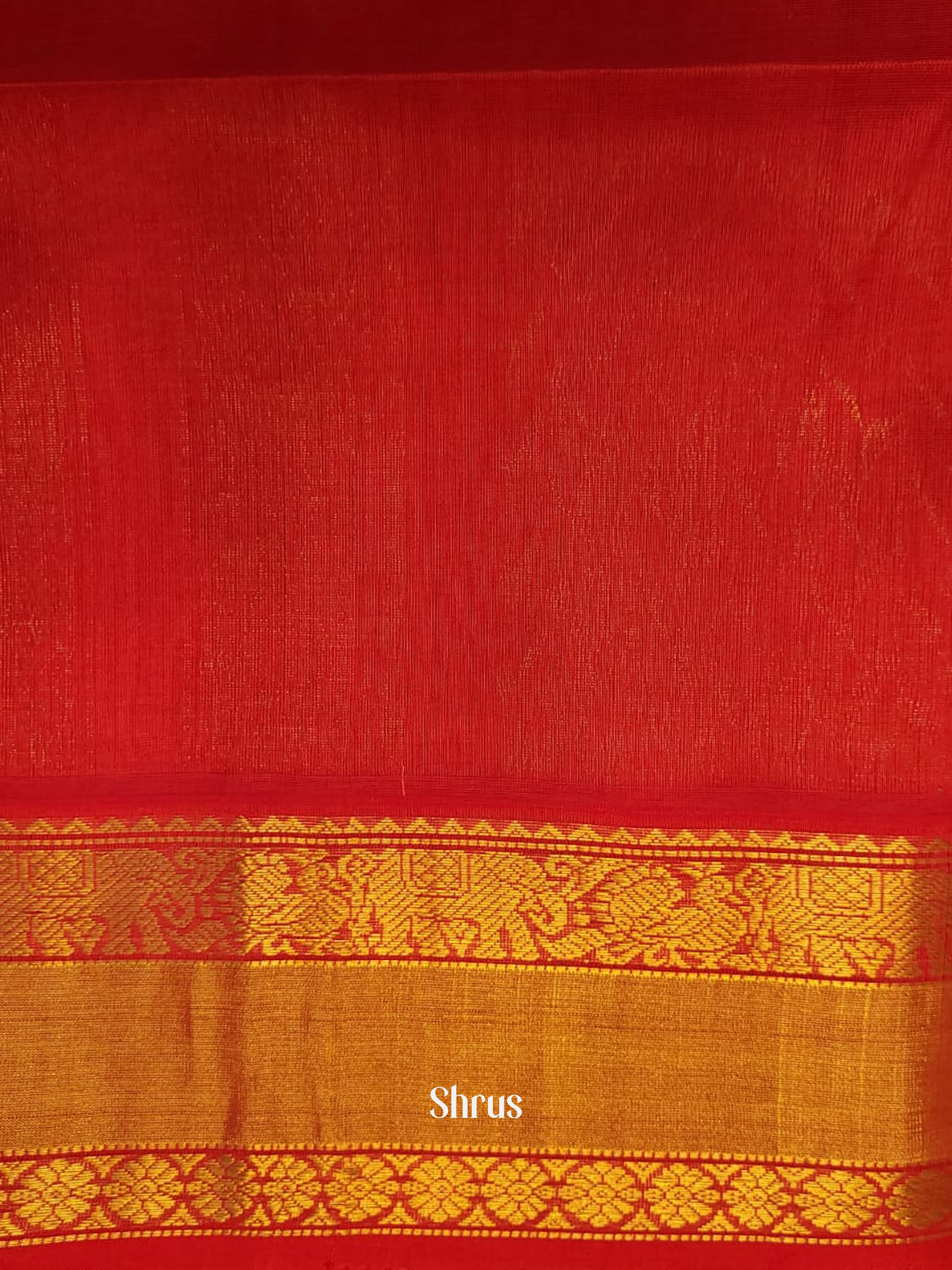 Green & Red  - Silk Cotton Saree