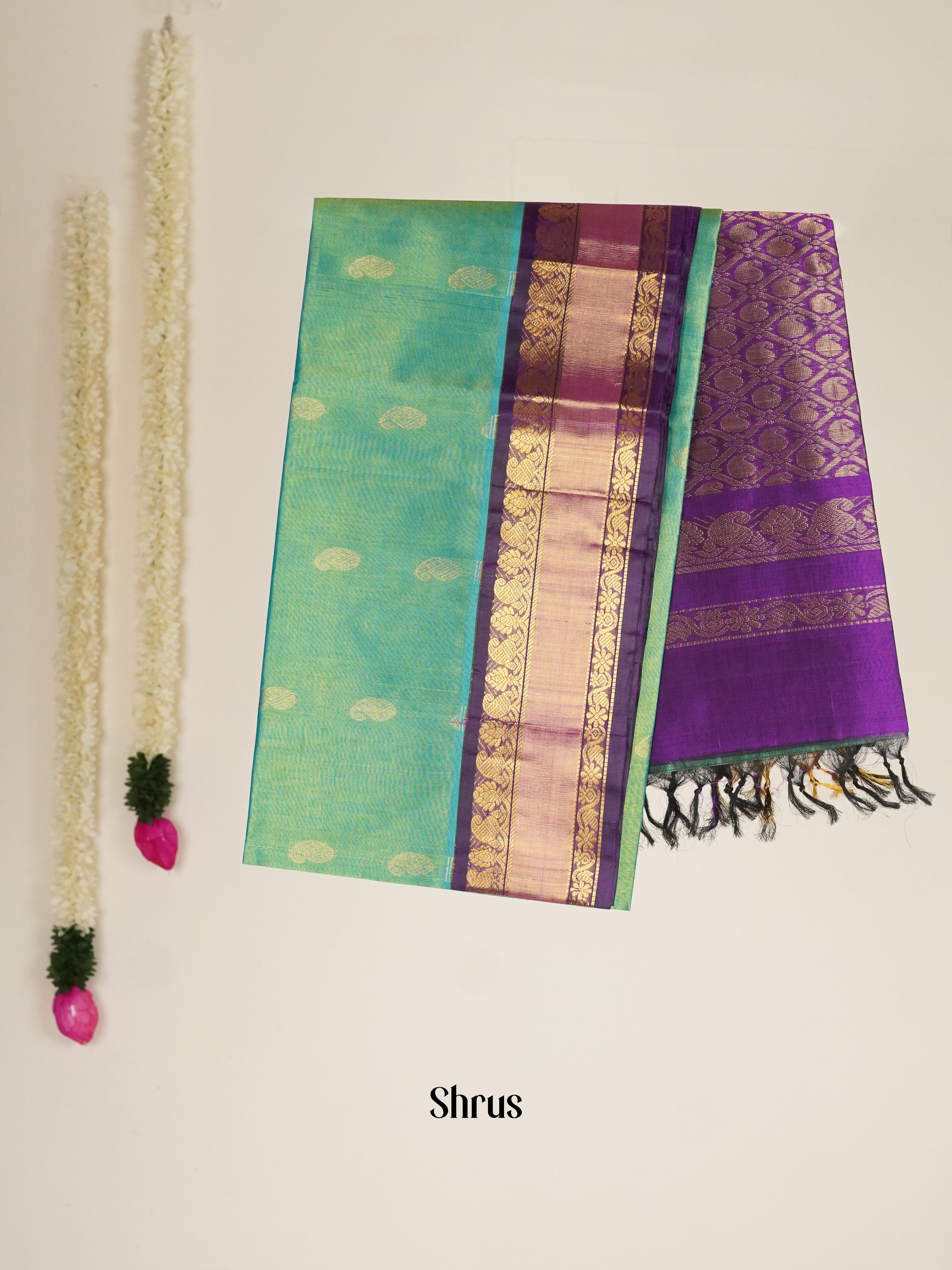 Green & Violet - Silk Cotton Saree