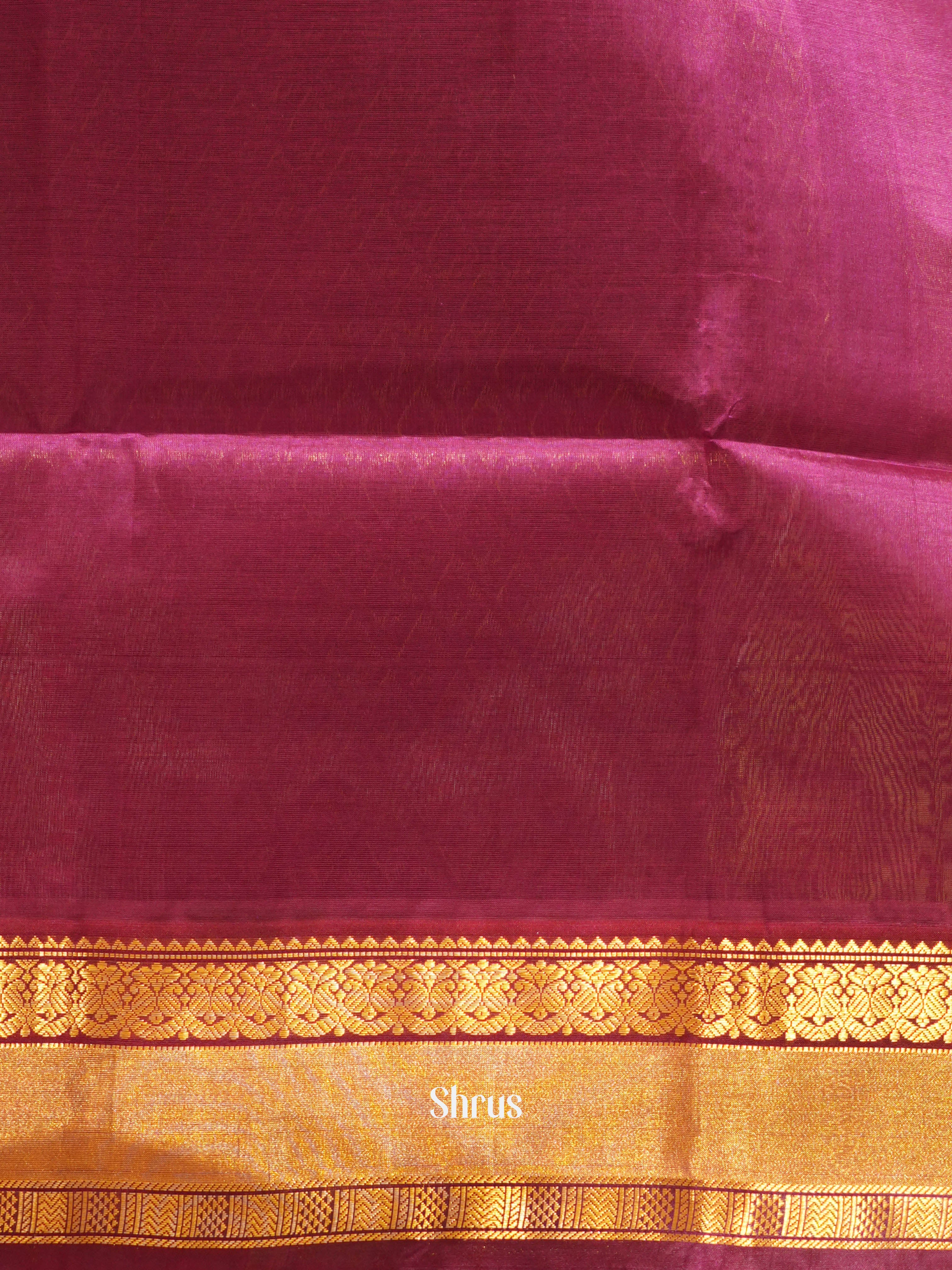 Teal & Purple - Silk Cotton Saree