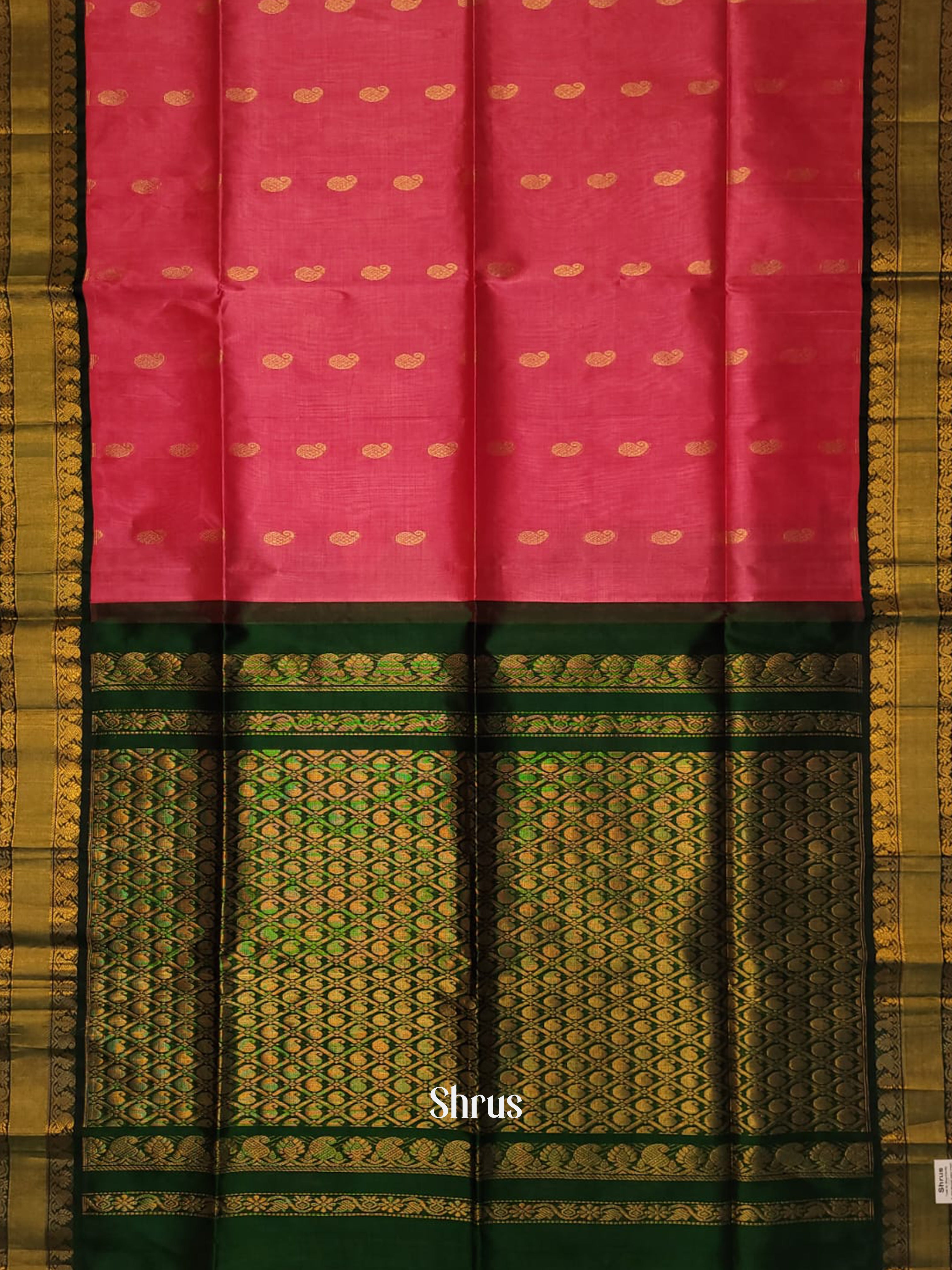 Pink & Green - Silk Cotton Saree