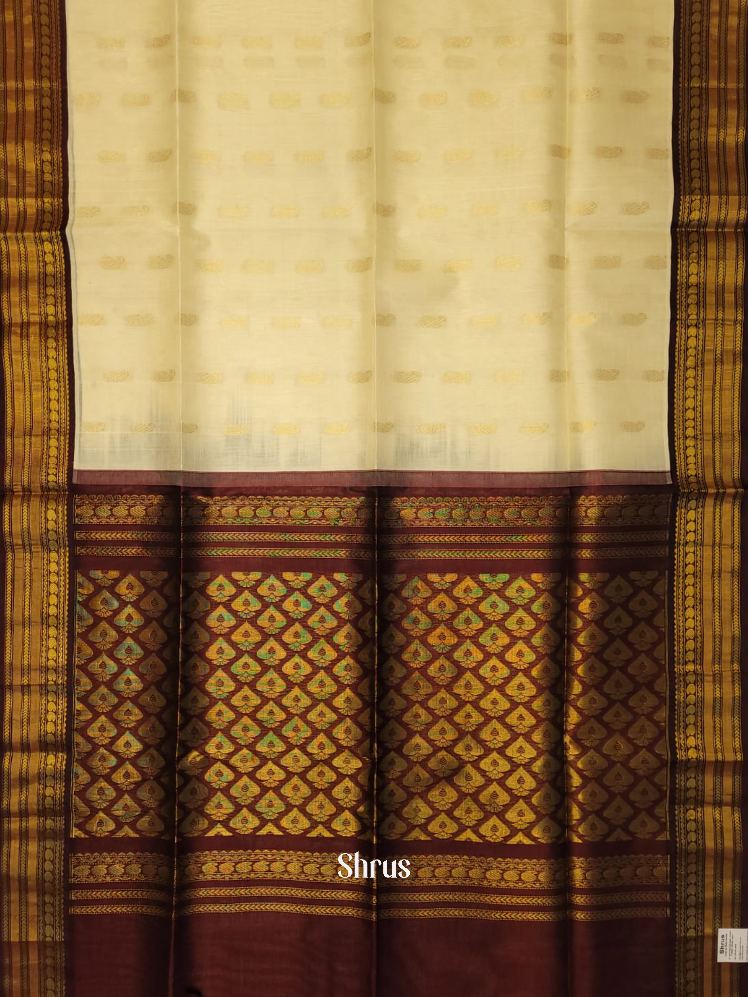 Cream & Brown  - Silk Cotton Saree