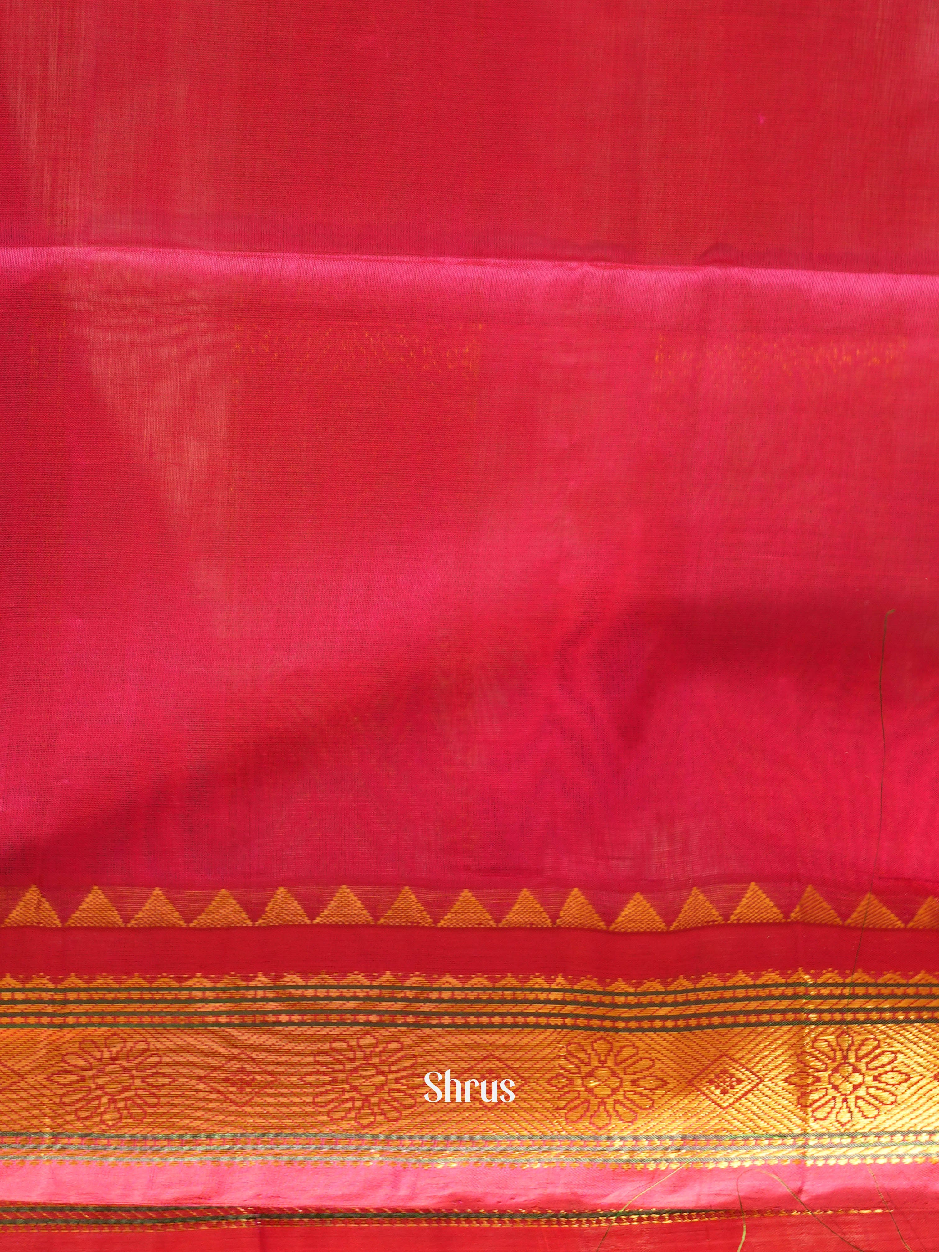 Blue & Pink - Silk Cotton Saree