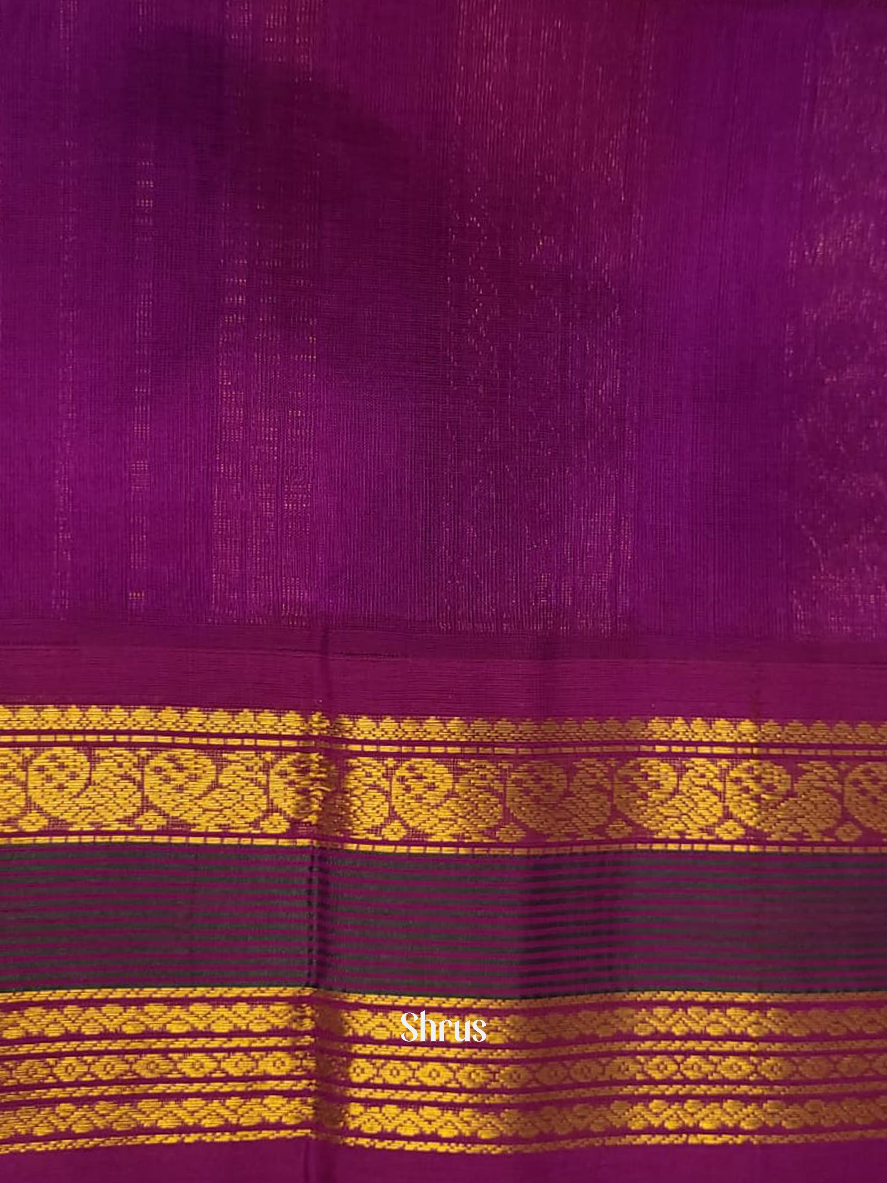 Blue & Pink - Silk Cotton Saree