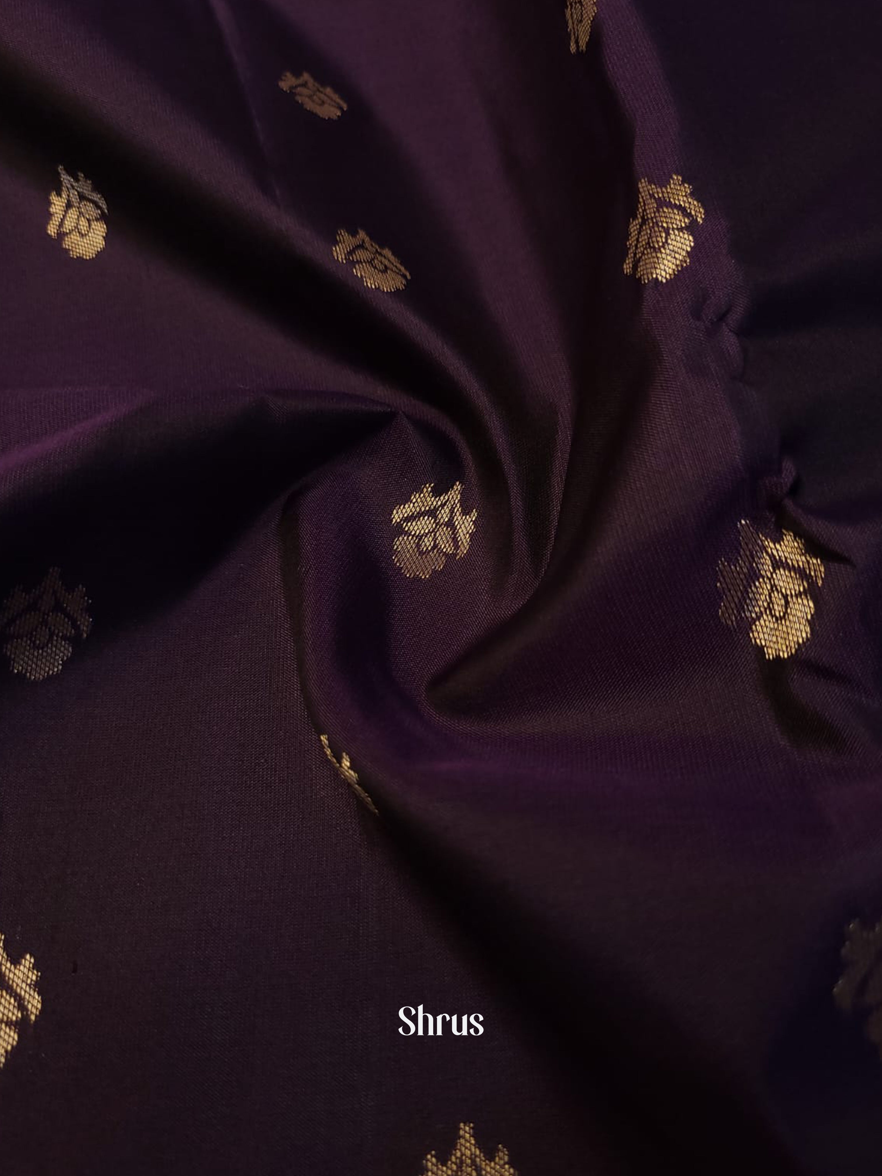 Brinjal & Green - Kanchipuram silk Saree