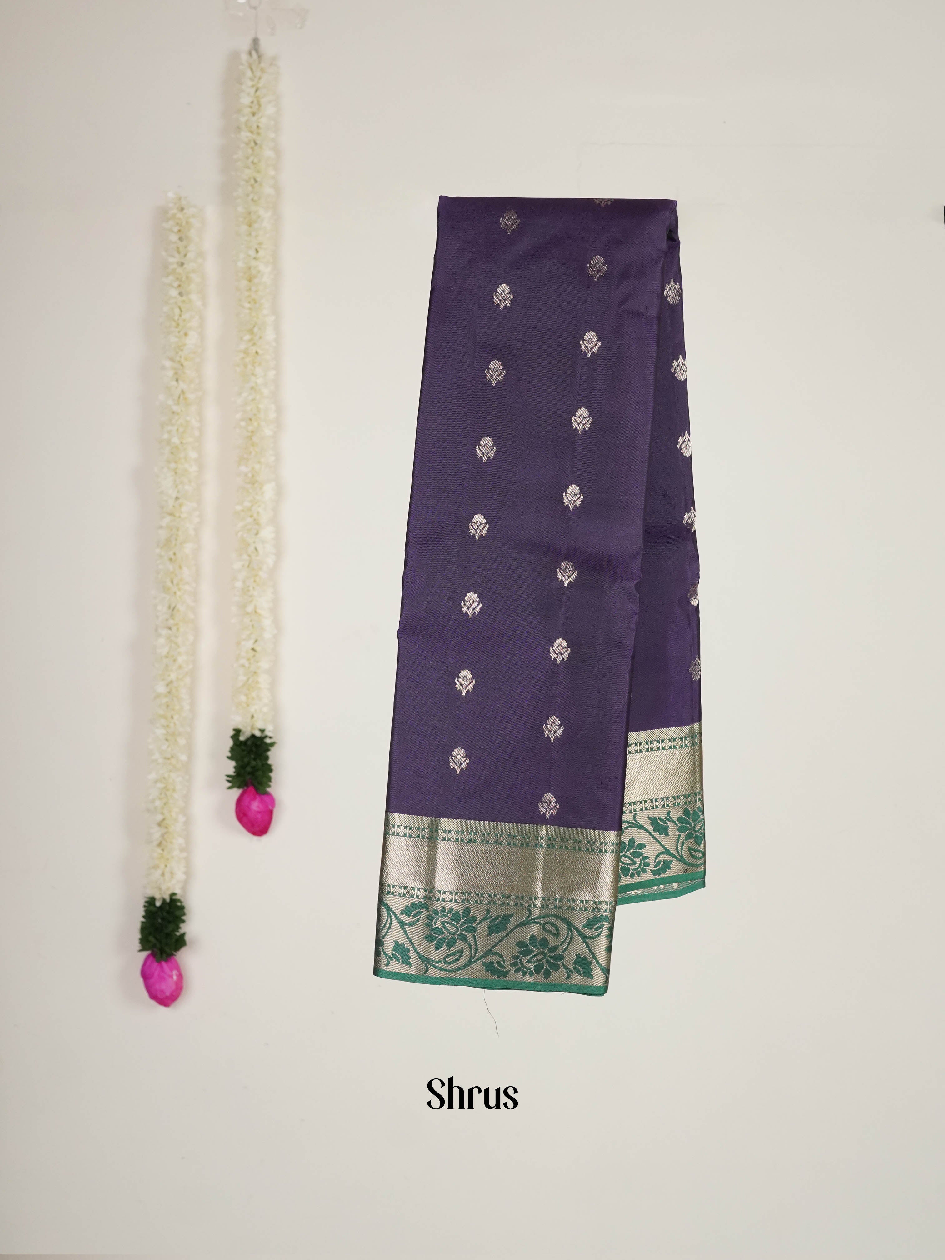 Brinjal & Green - Kanchipuram silk Saree