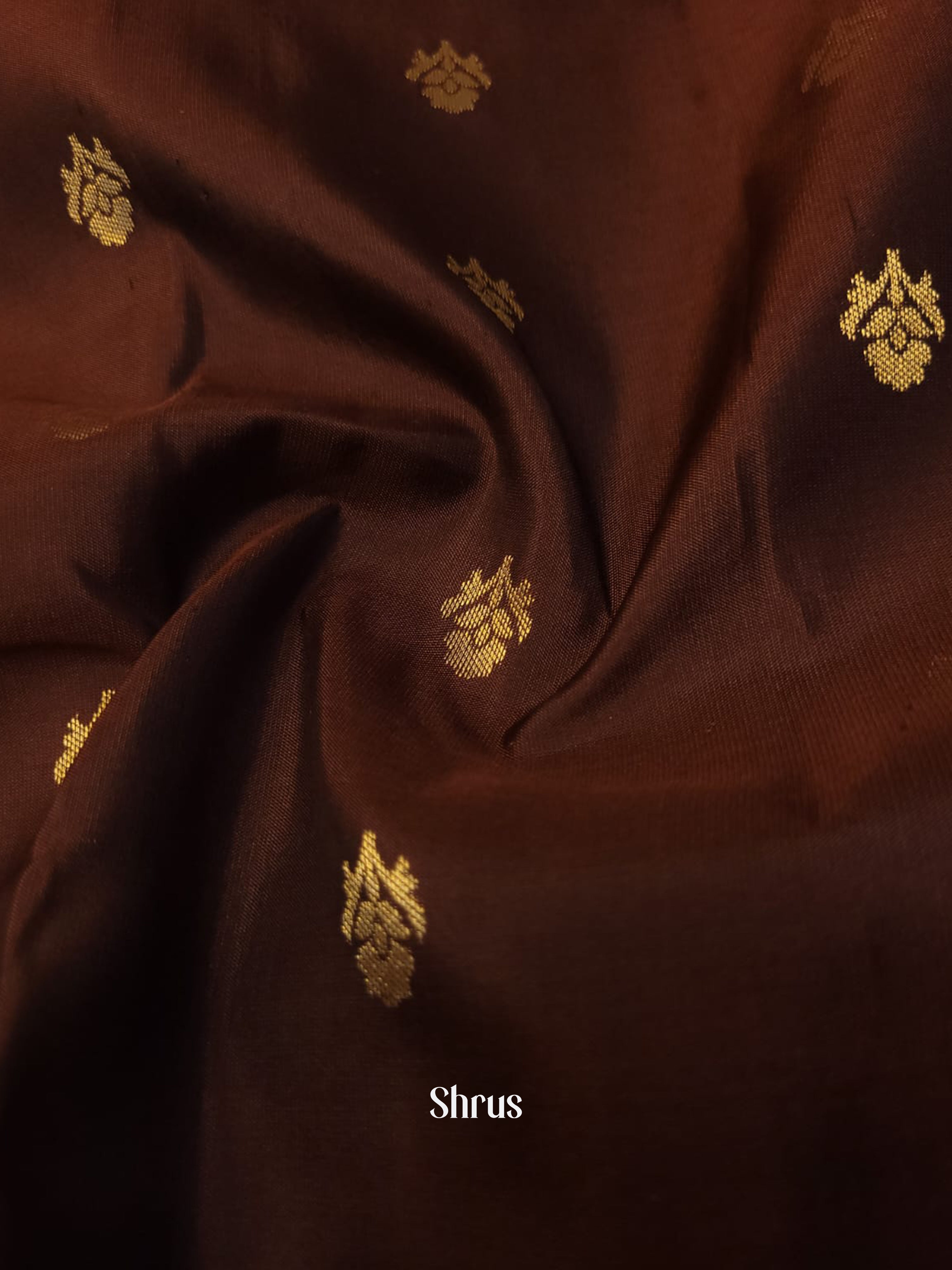 Brown - Kanchipuram silk Saree