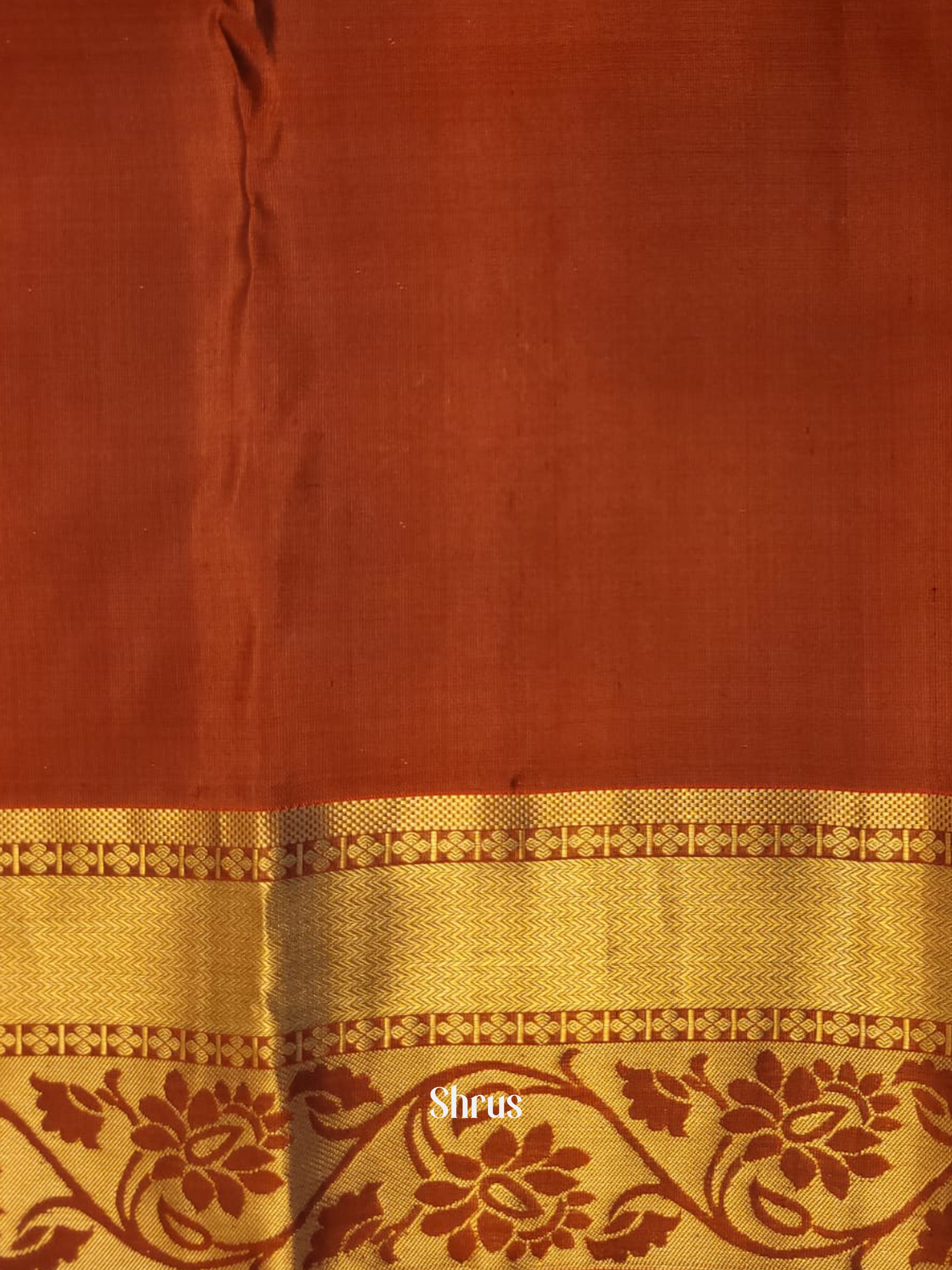 Brown - Kanchipuram silk Saree