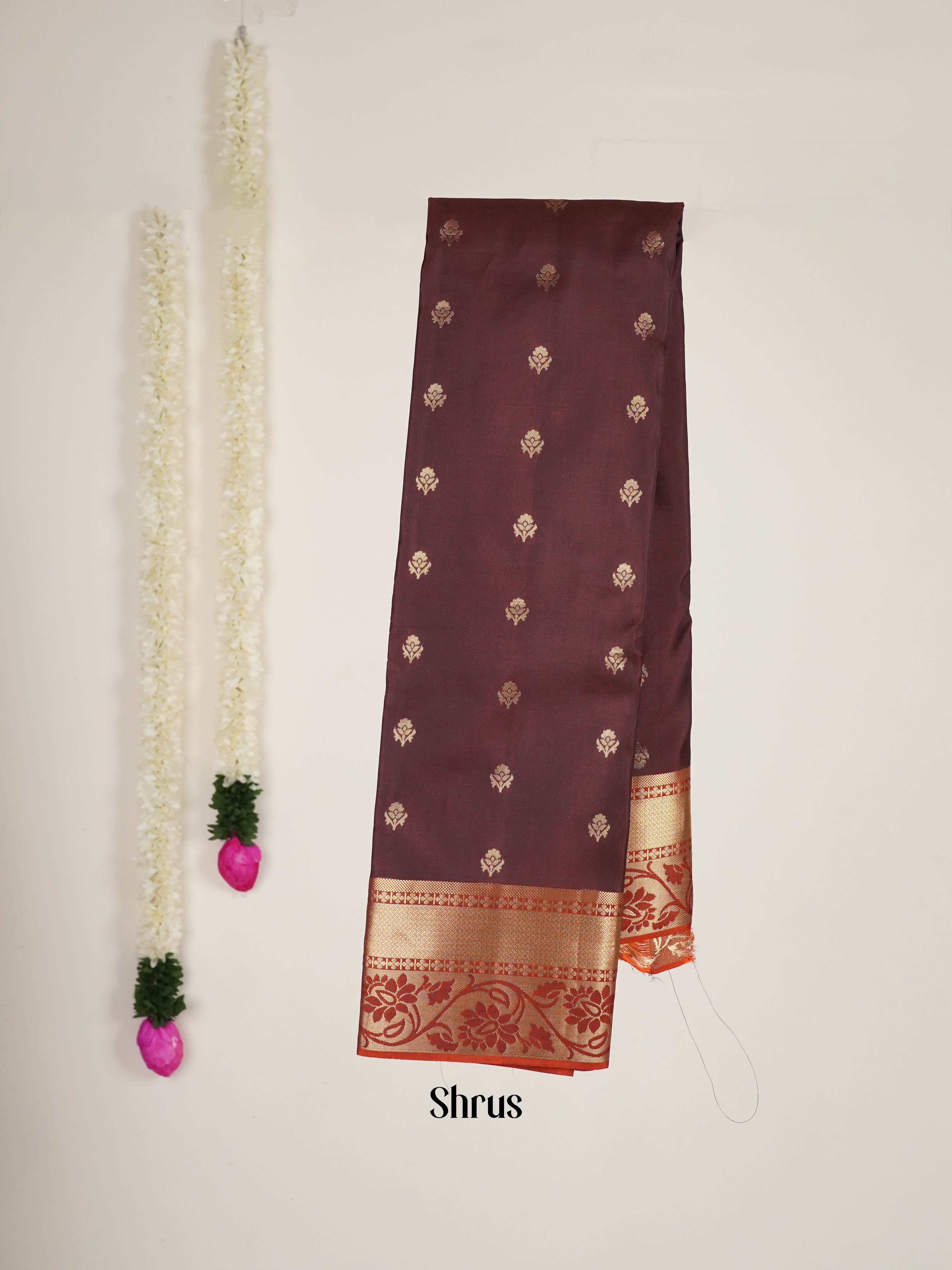 Brown - Kanchipuram silk Saree