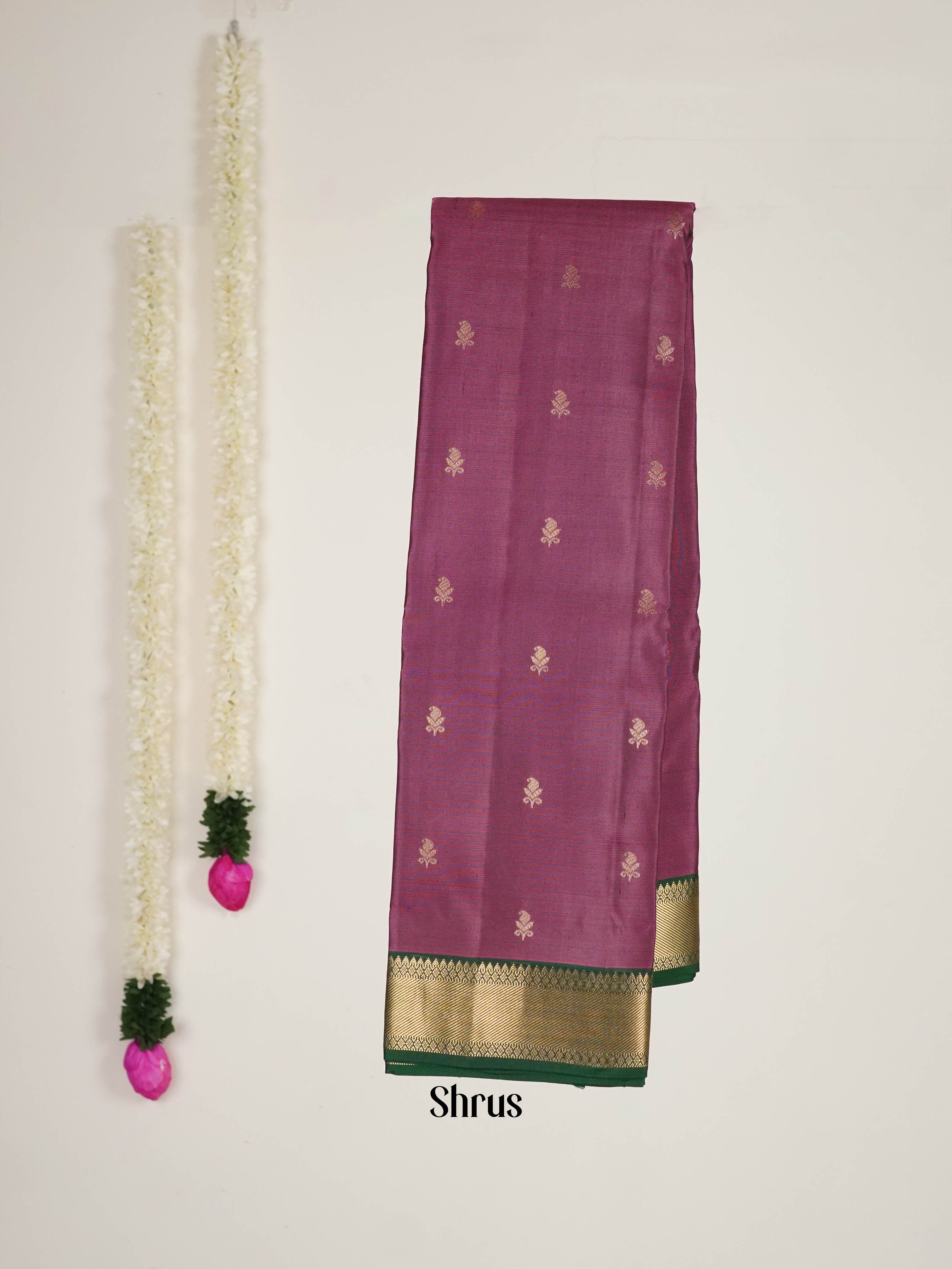 Wine & Bottle Green - Kanchipuram silk Saree