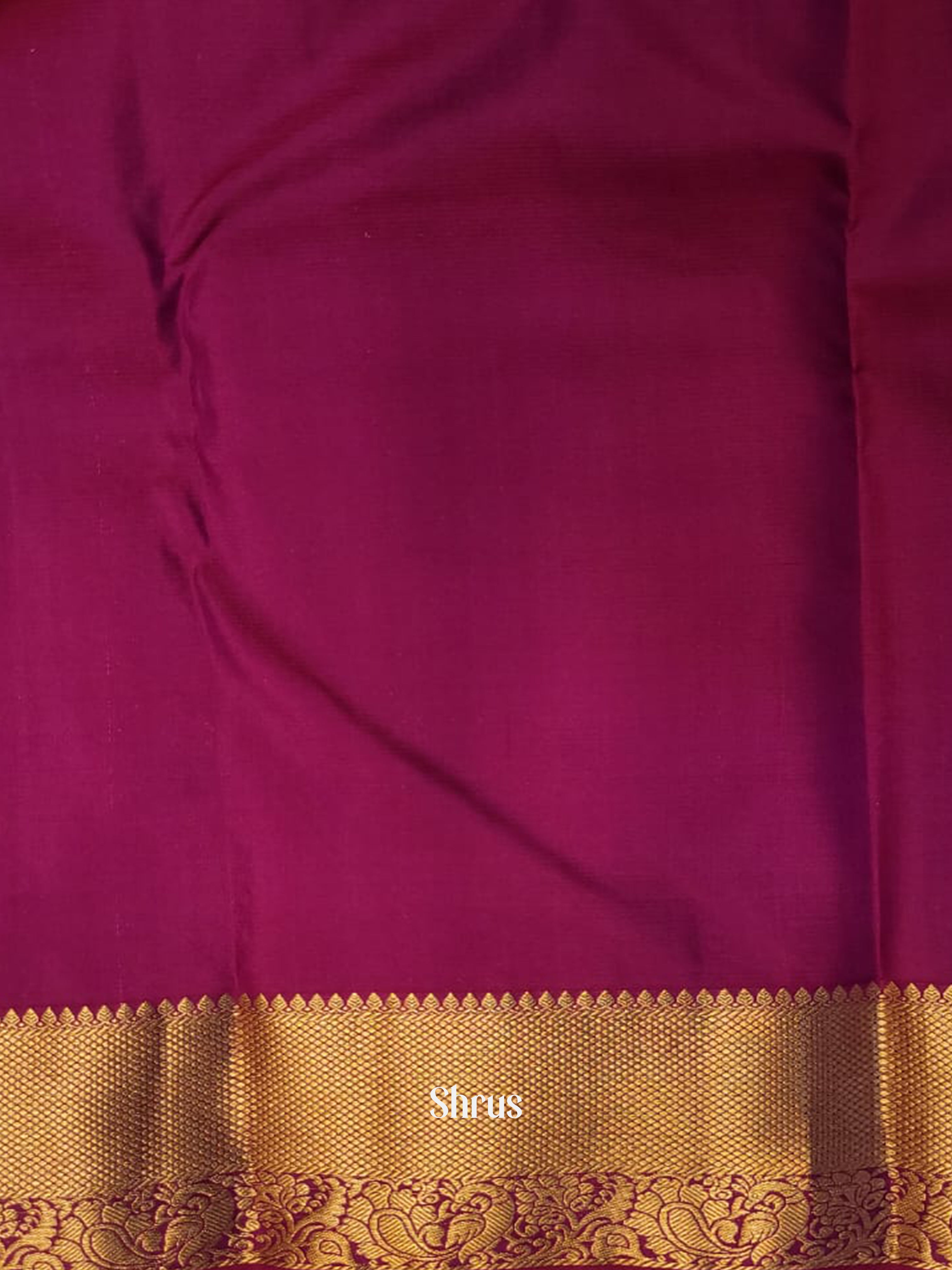 Honey & Wine - Kanchipuram silk Saree