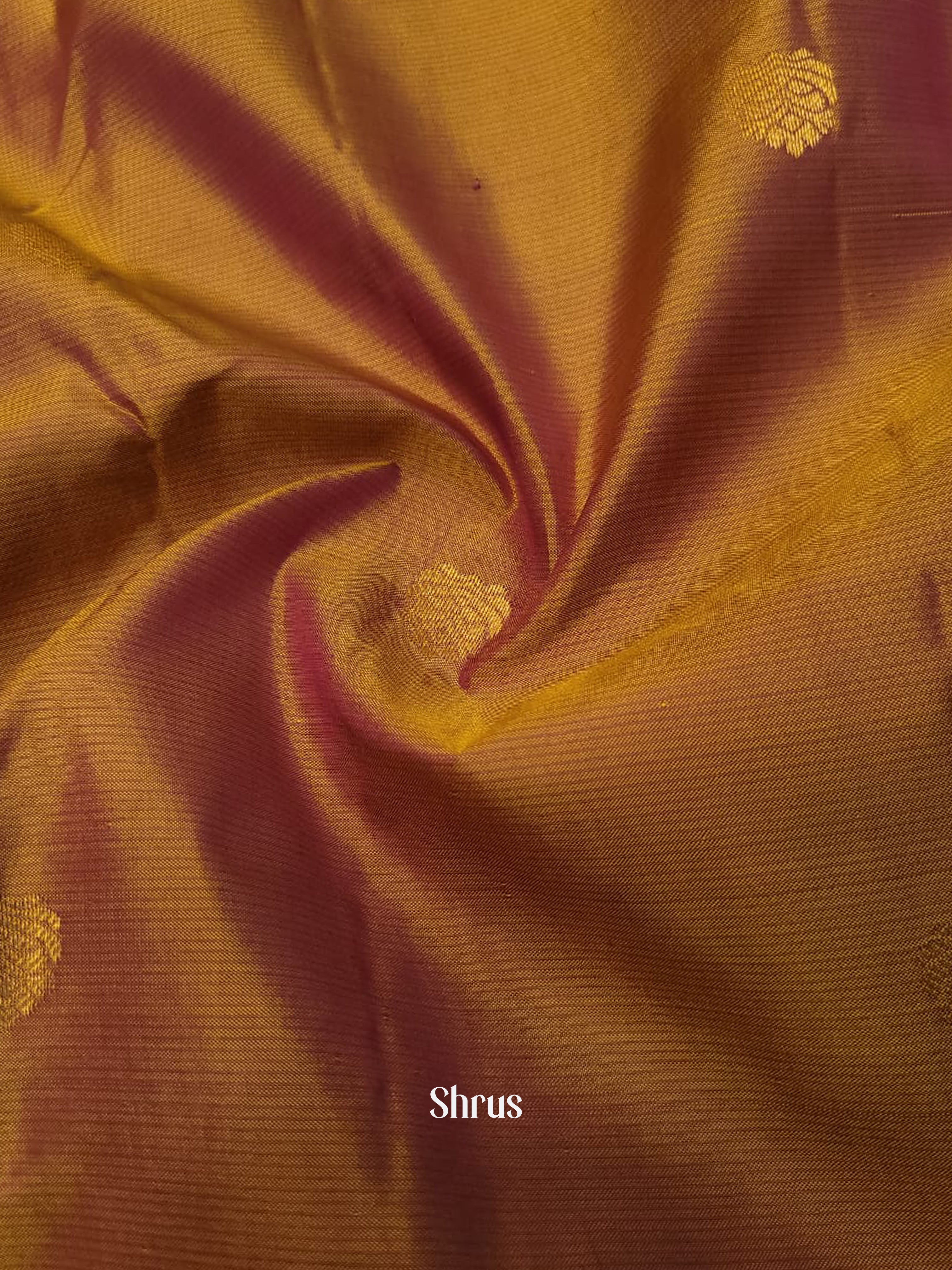 Honey & Wine - Kanchipuram silk Saree