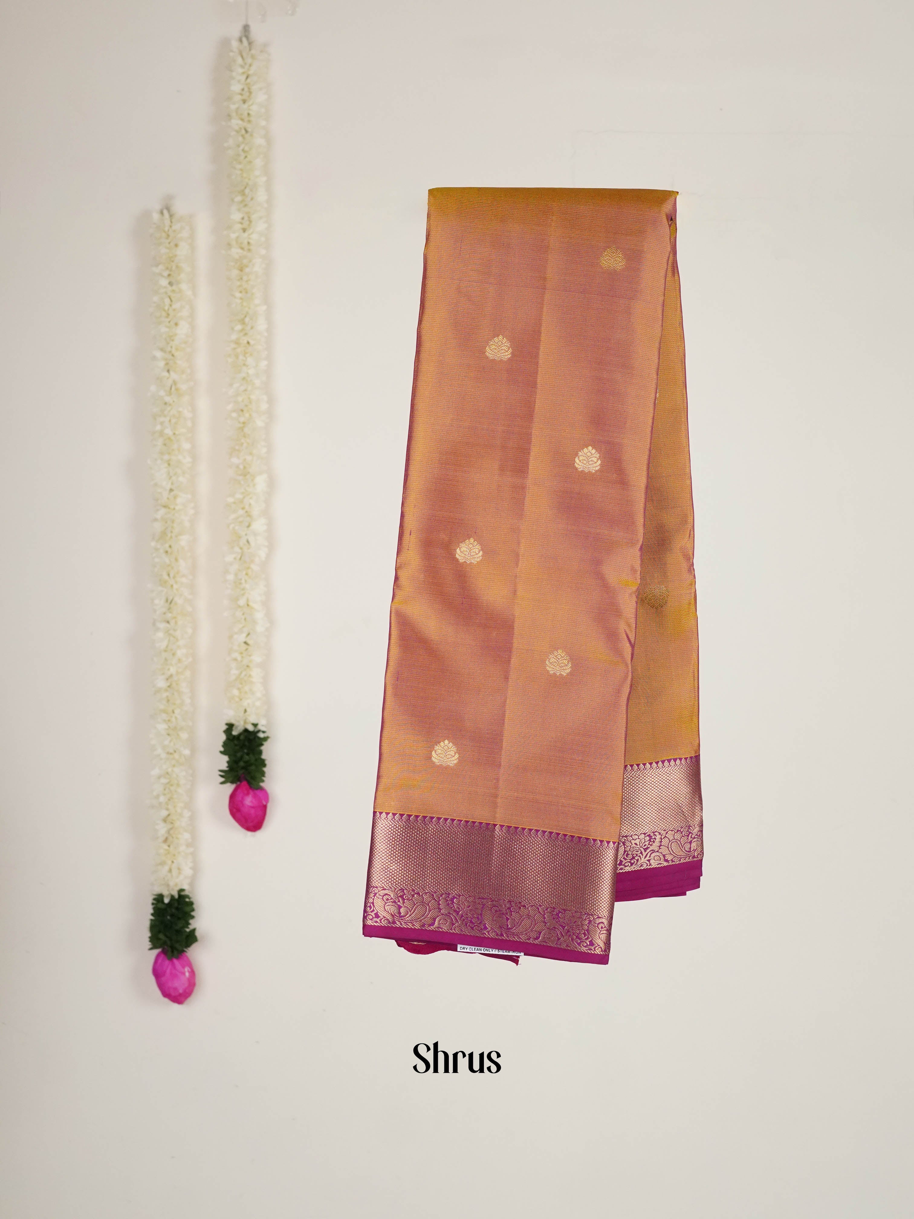 Honey & Wine - Kanchipuram silk Saree