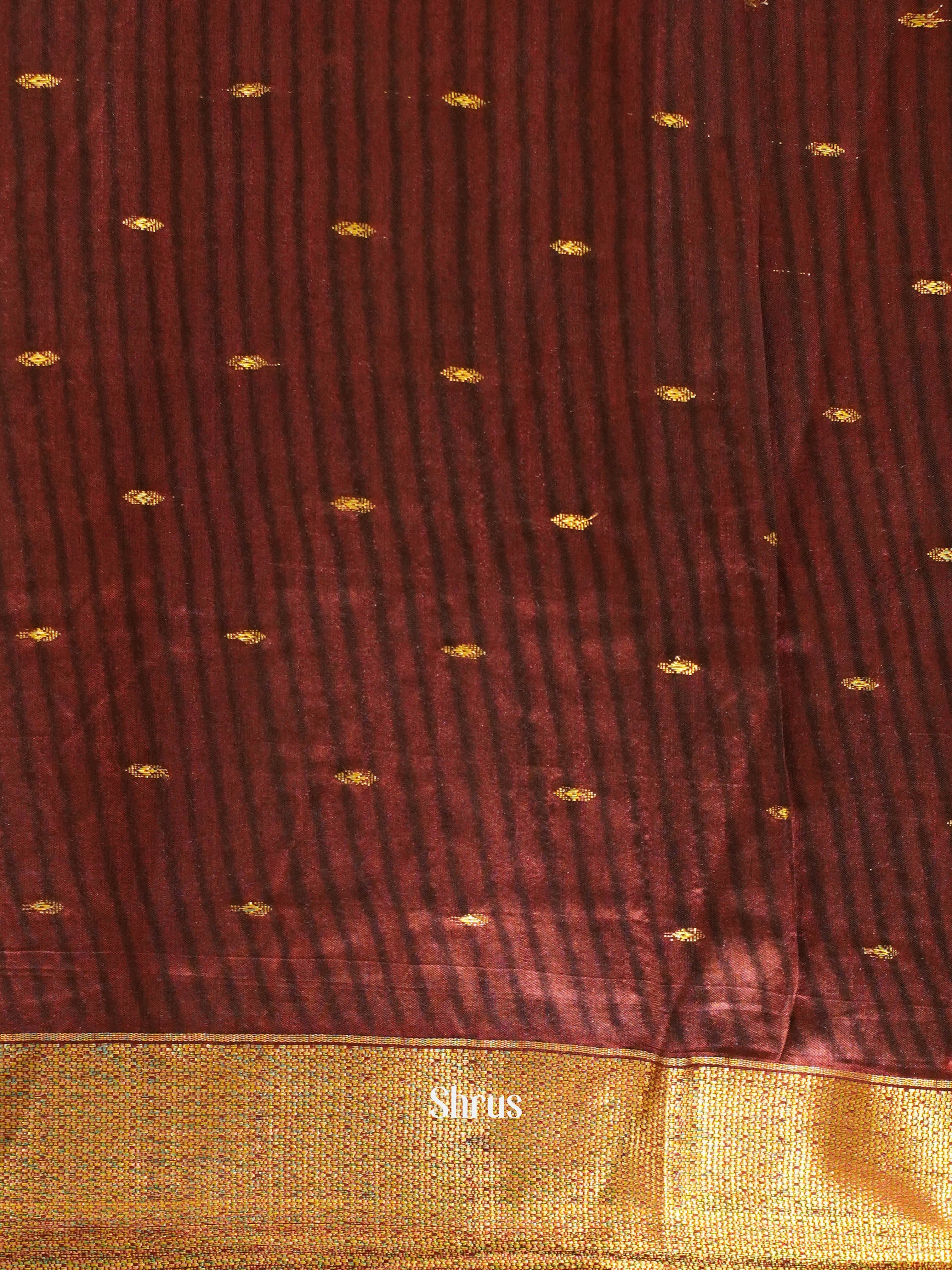 Black & Brown - Semi Patola Saree