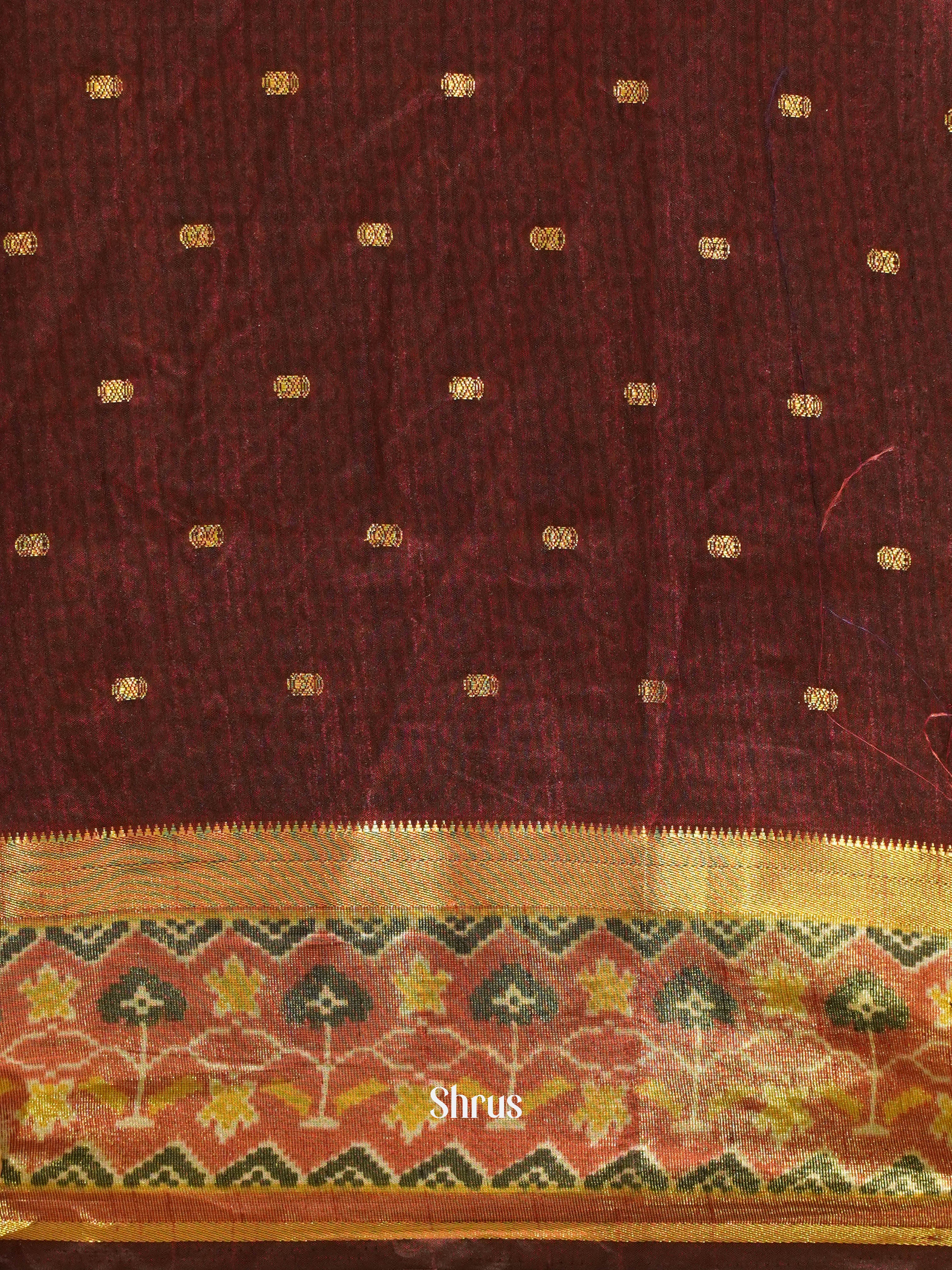 Black & Brown - Semi Patola Saree