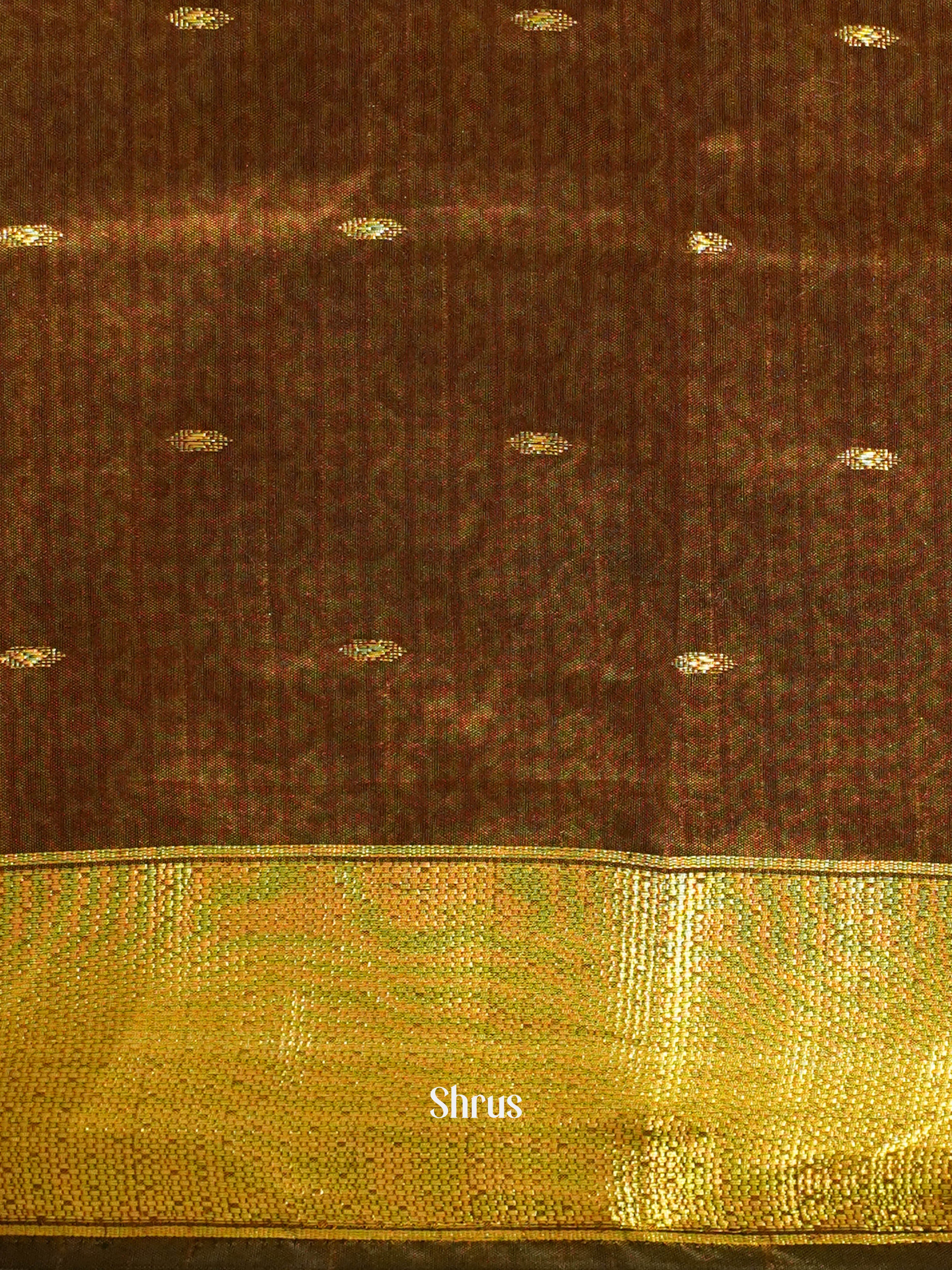 Green & Brown - Semi Patola Saree