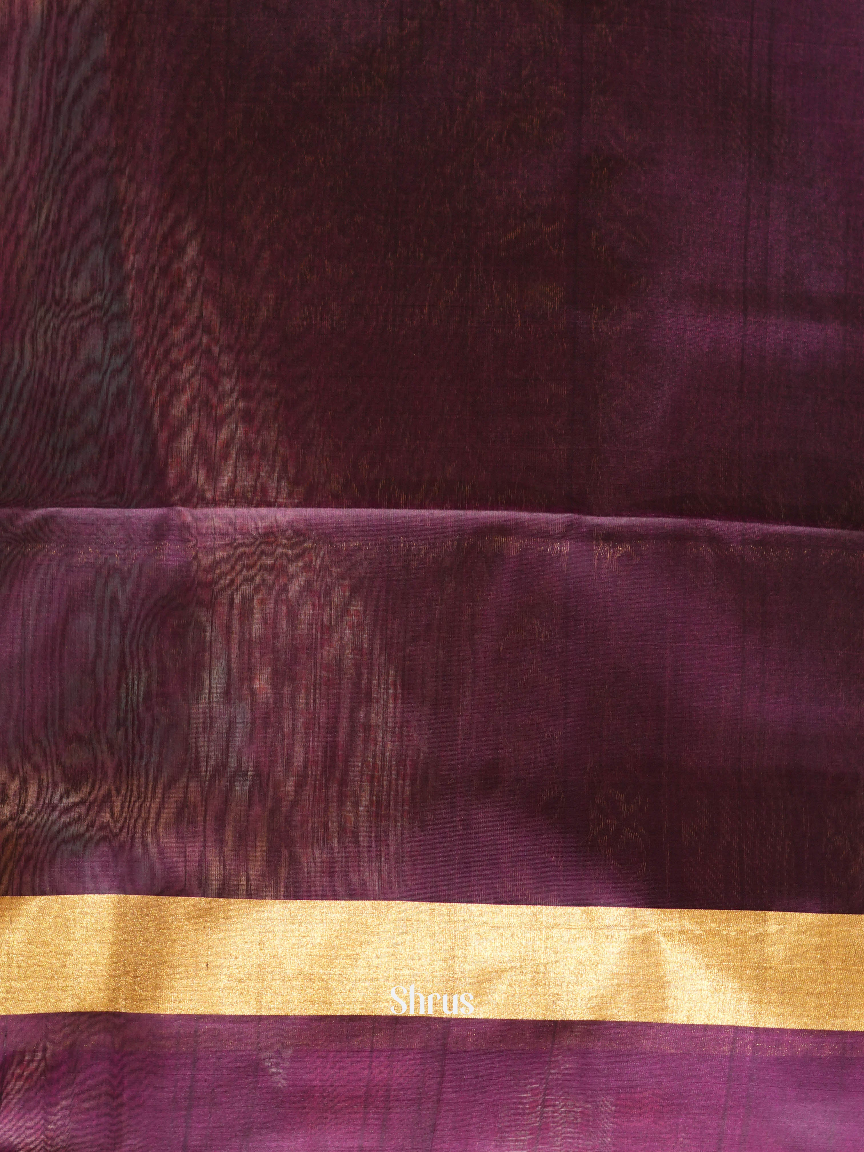 Black & Purple - Silk Cotton Saree