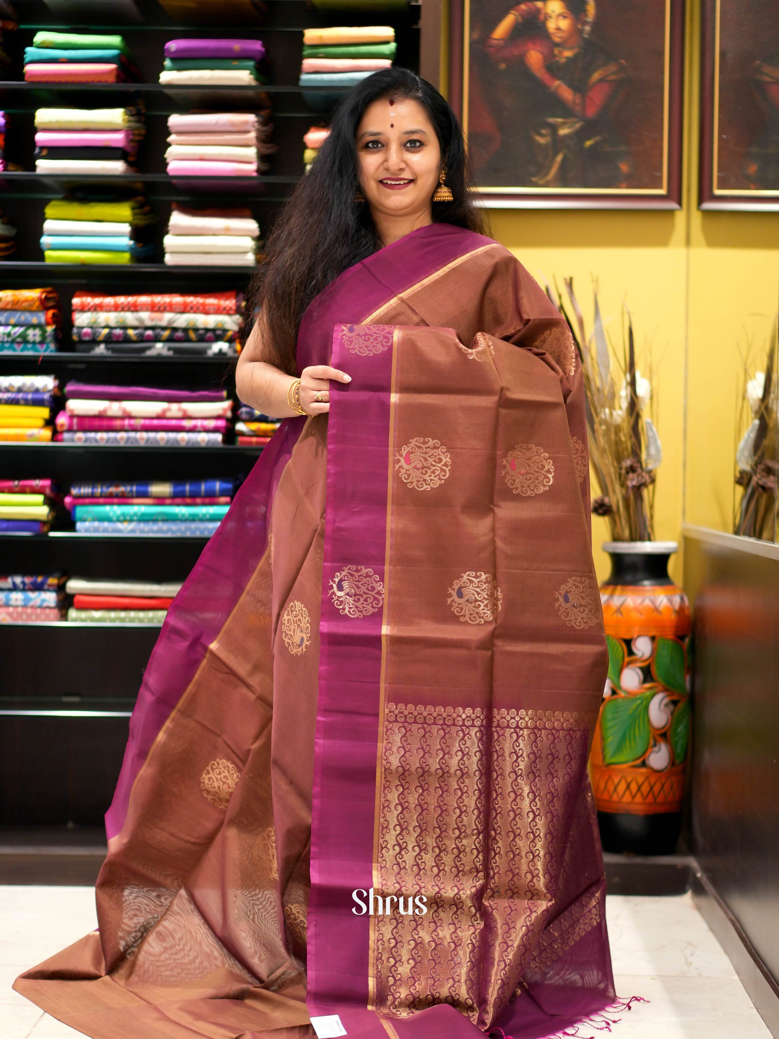 Brown & Purple - Silk Cotton Saree