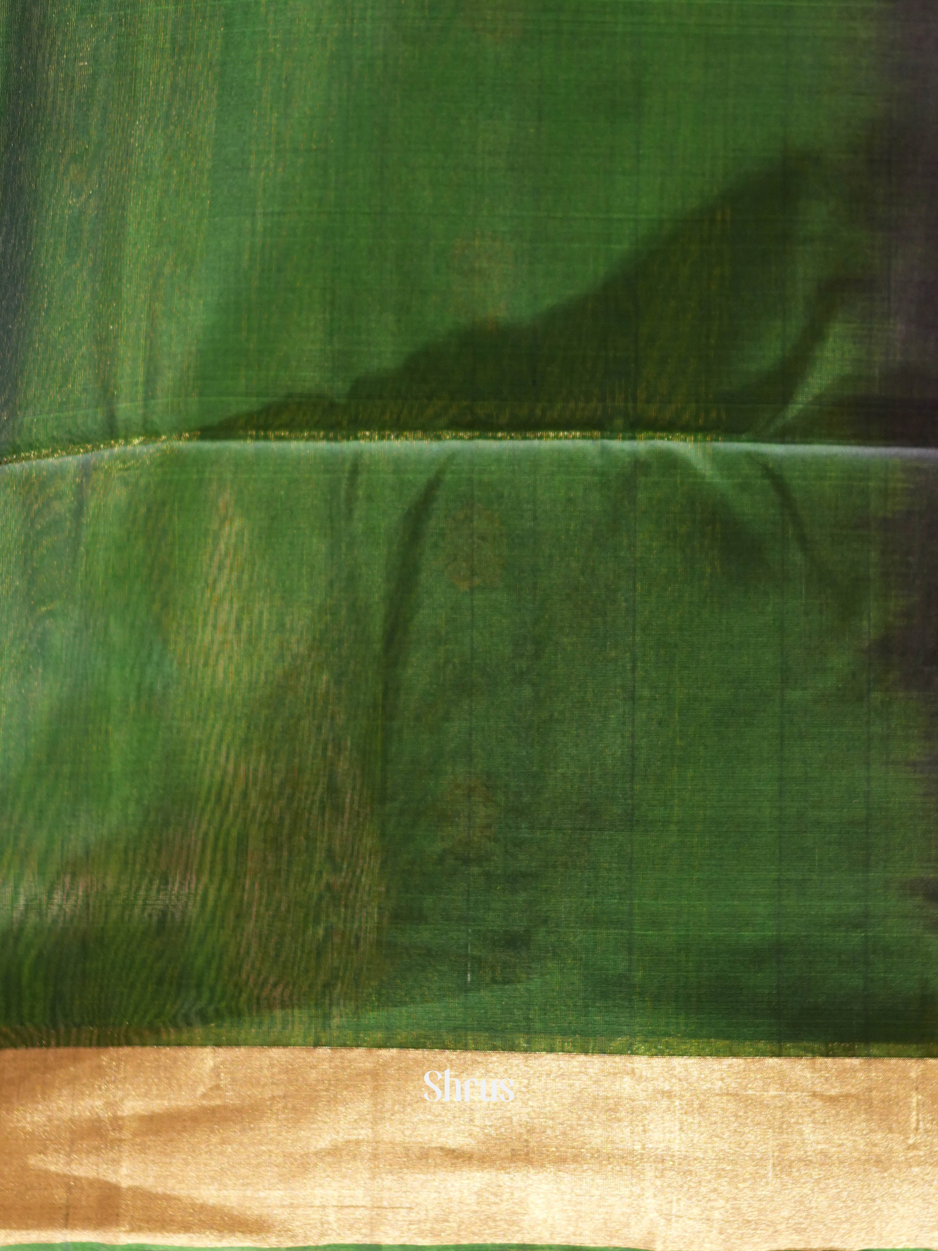 Blue &  Green - Silk Cotton Saree