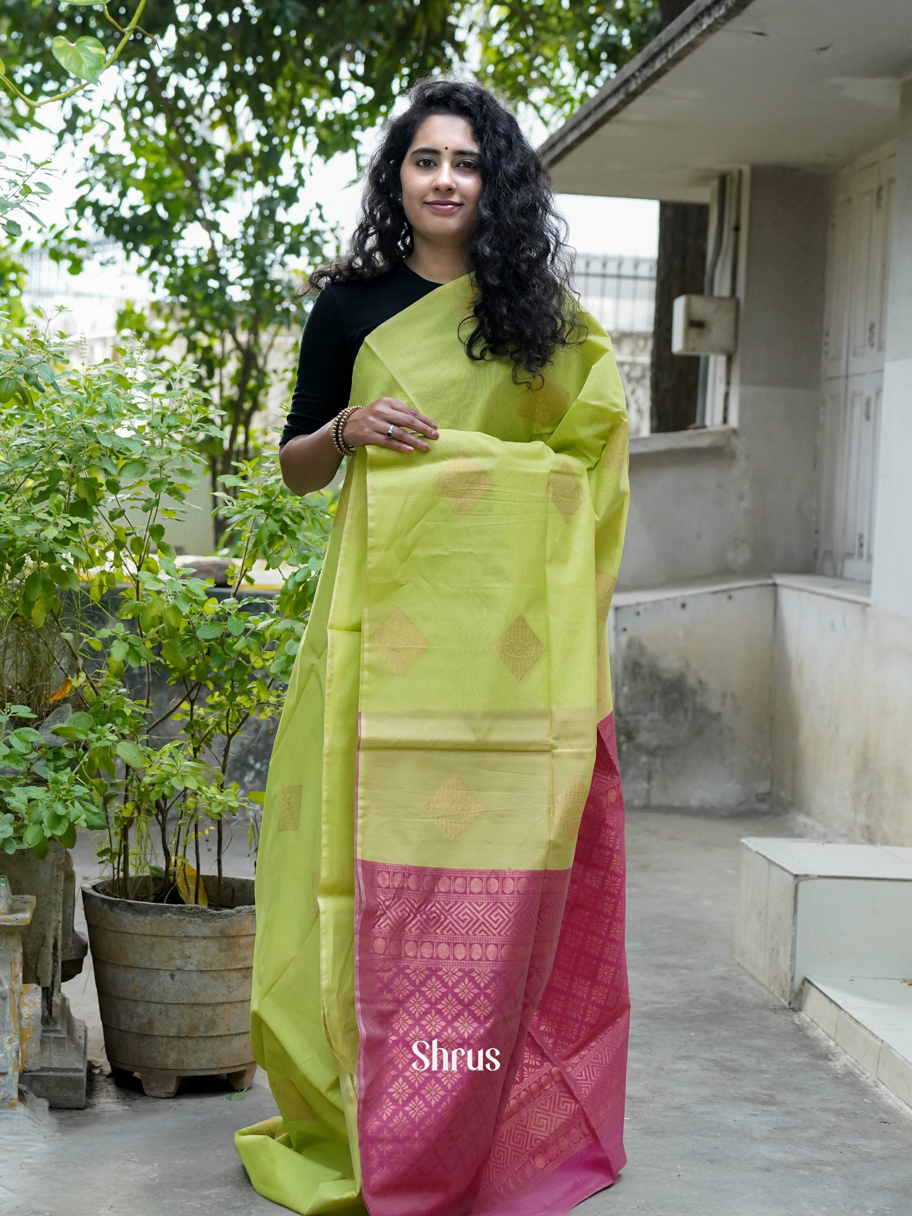 Greenish Yellow & Pink  - Semi Silkcotton Saree