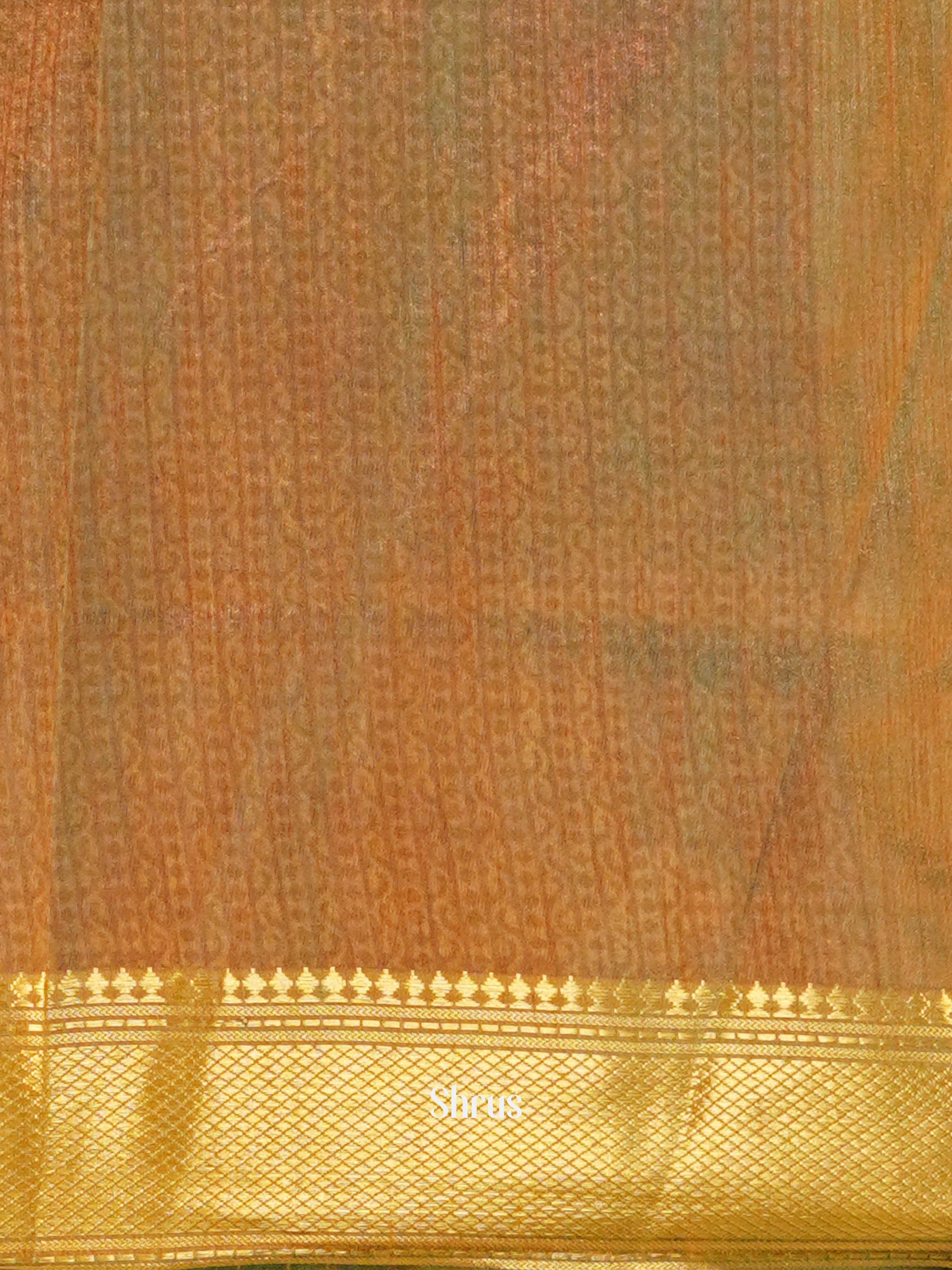 Green & Golden Brown   - Semi Patola Saree