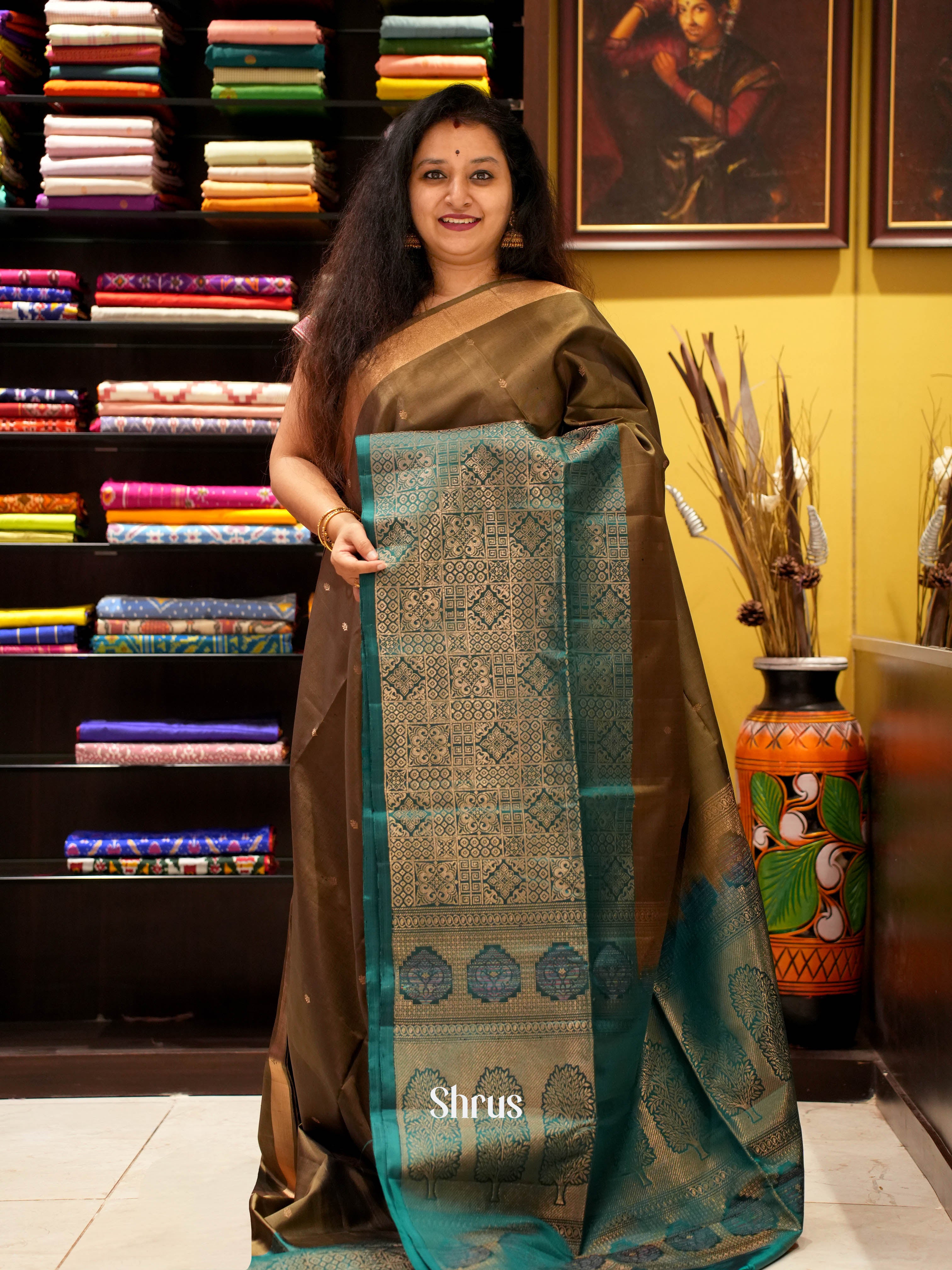 Brown & Green - Soft Silk Saree