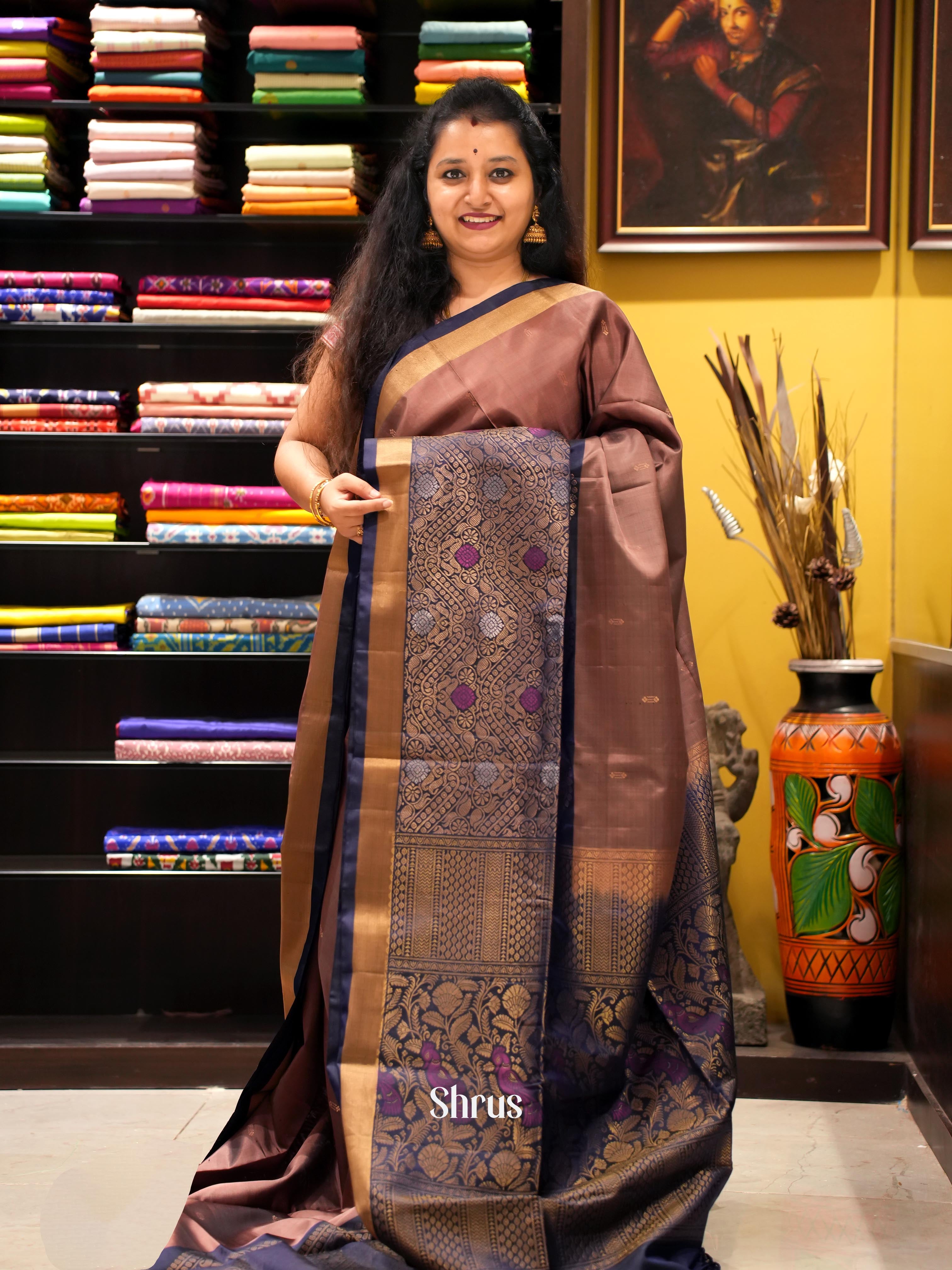 Brown & Navy Blue - Soft Silk Saree