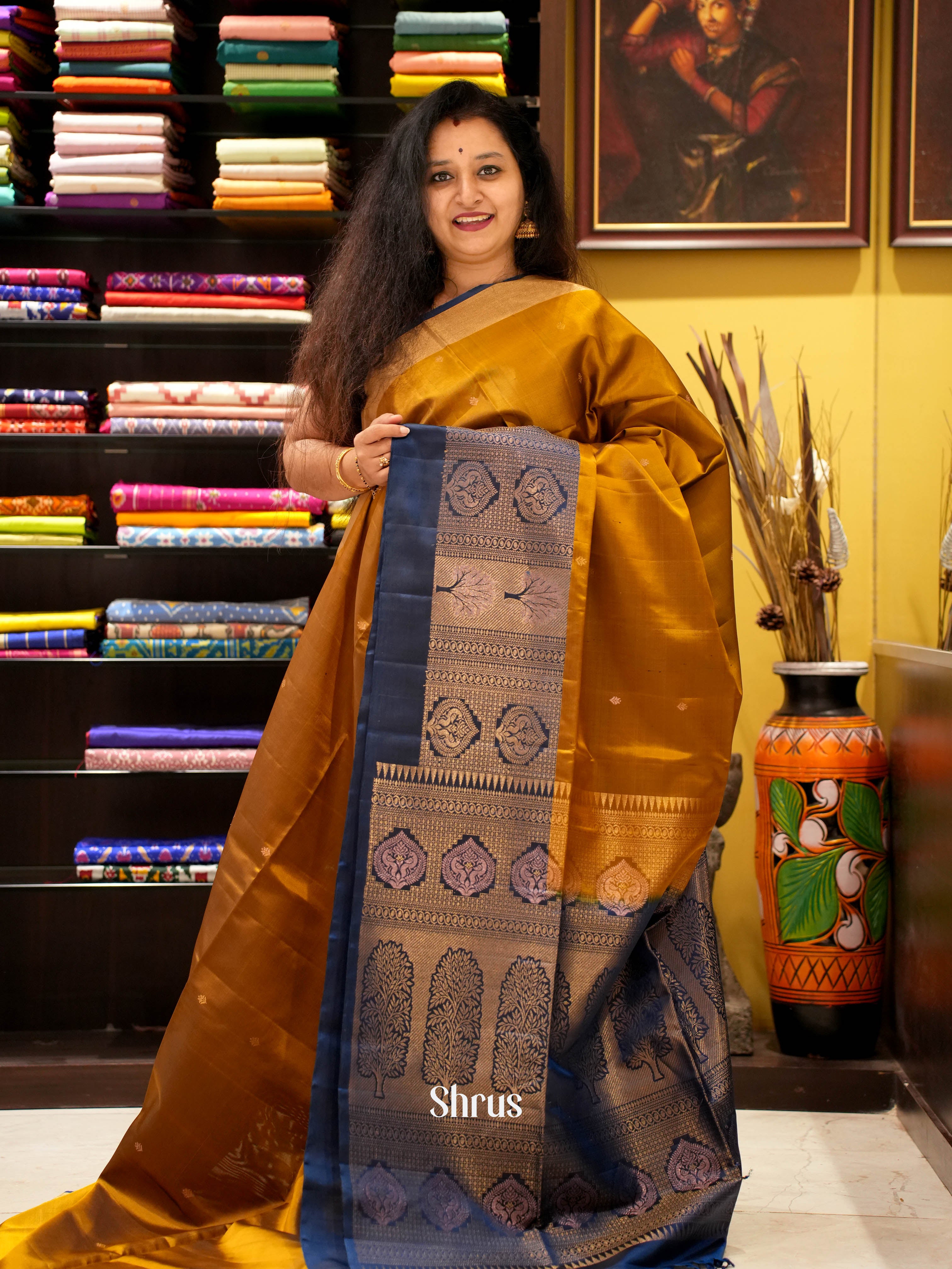 Goldish Brown & Blue - Soft Silk Saree