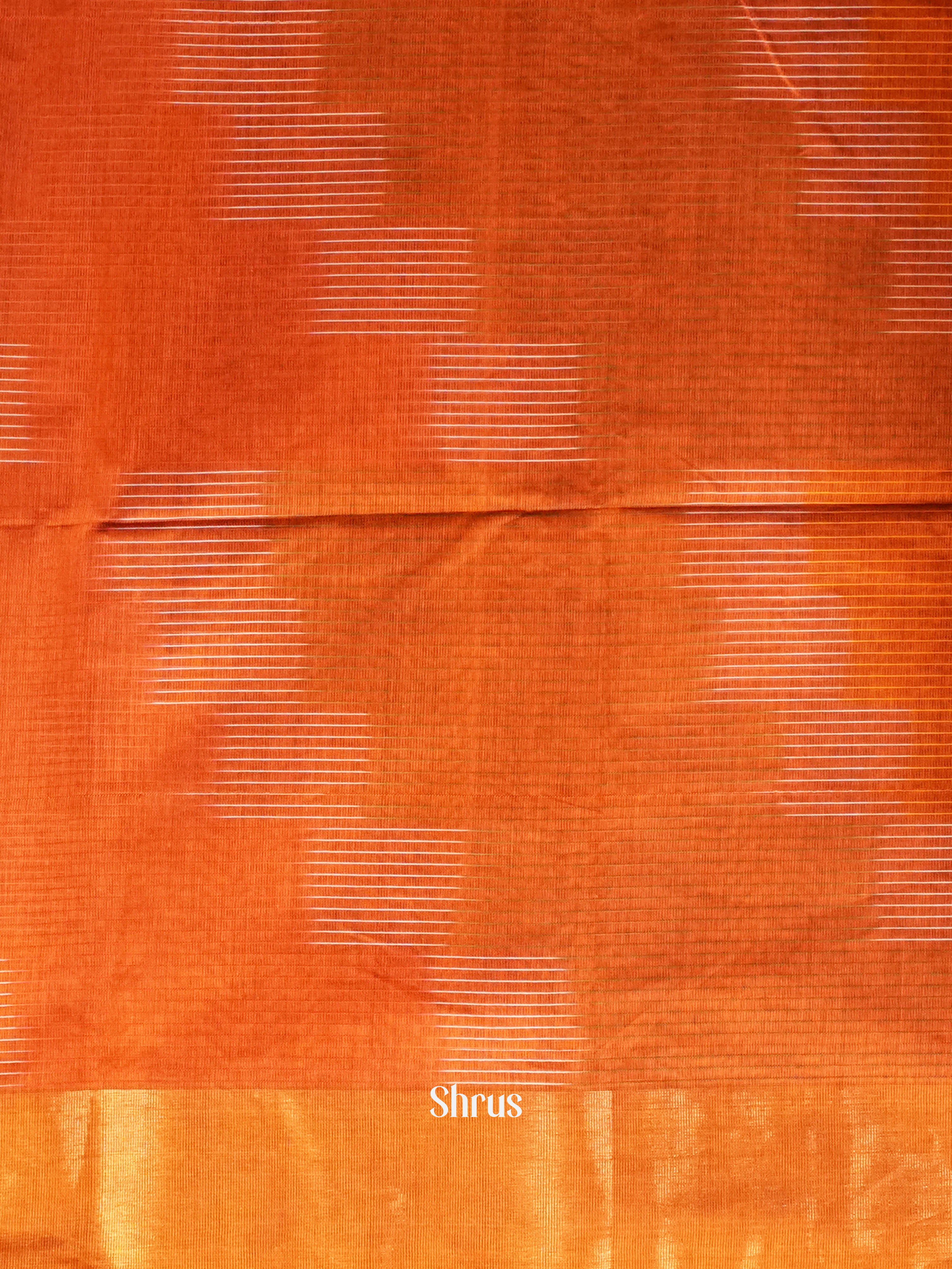 Brick & Brown - Ikkat Kora Saree