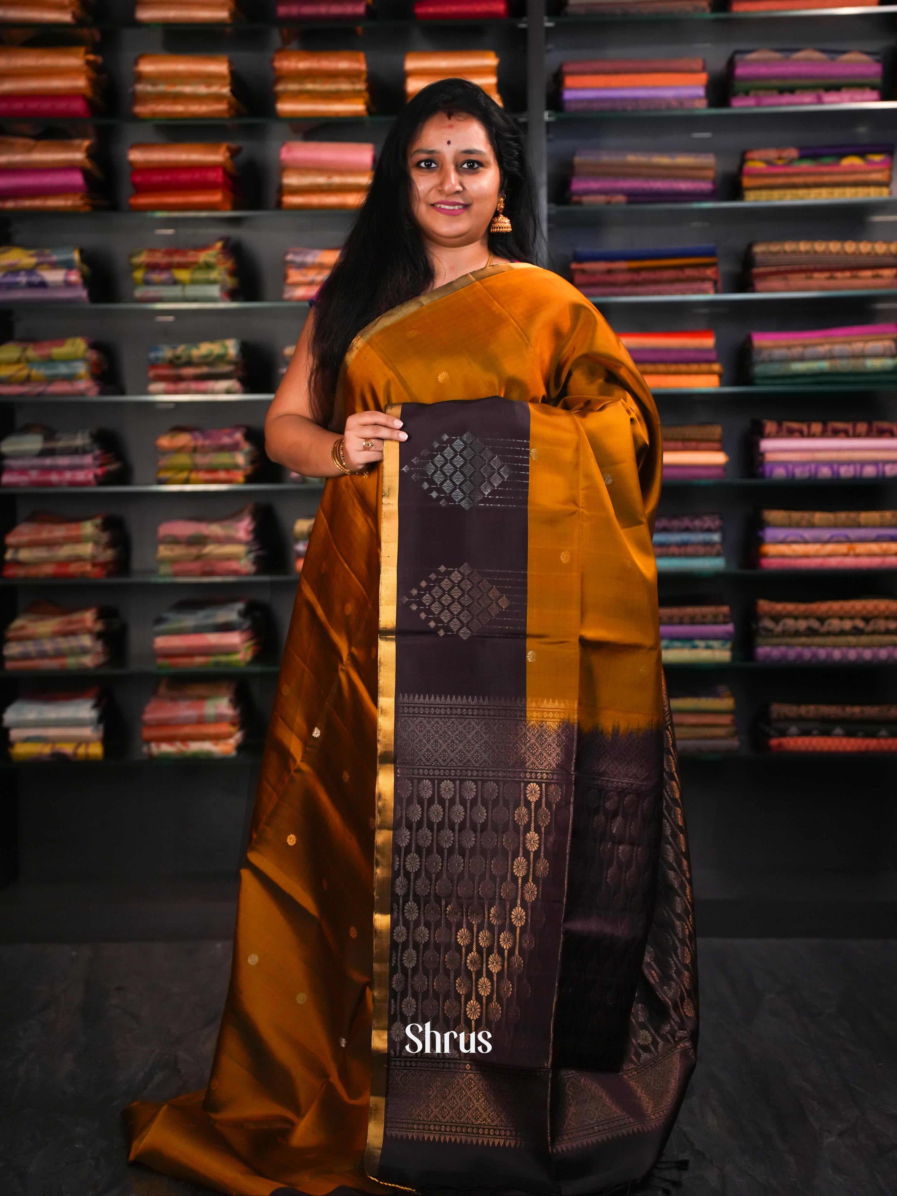 Brown & Dark Brown - Soft Silk Saree