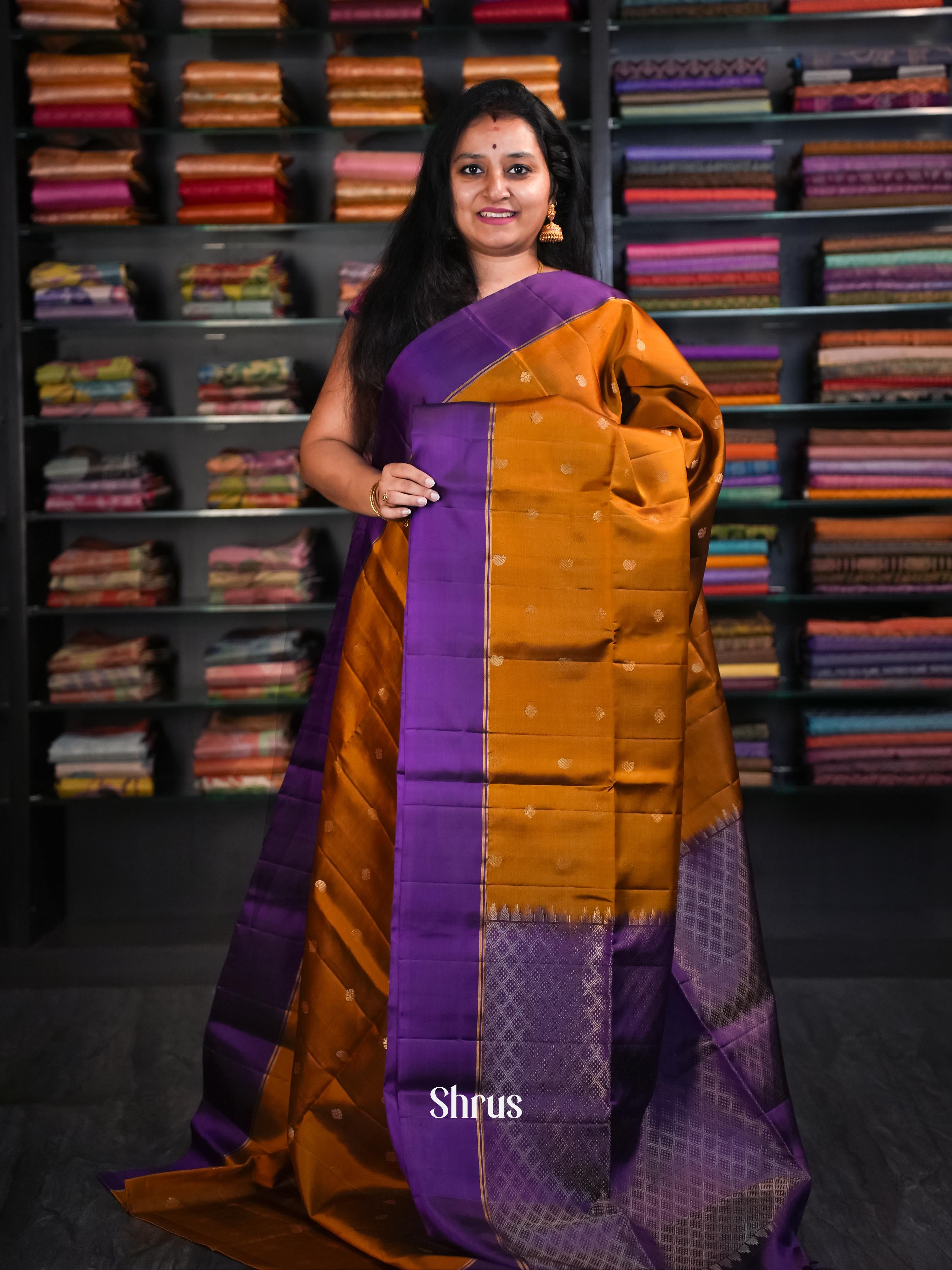 Brown & Royal Purple  - Soft Silk Saree