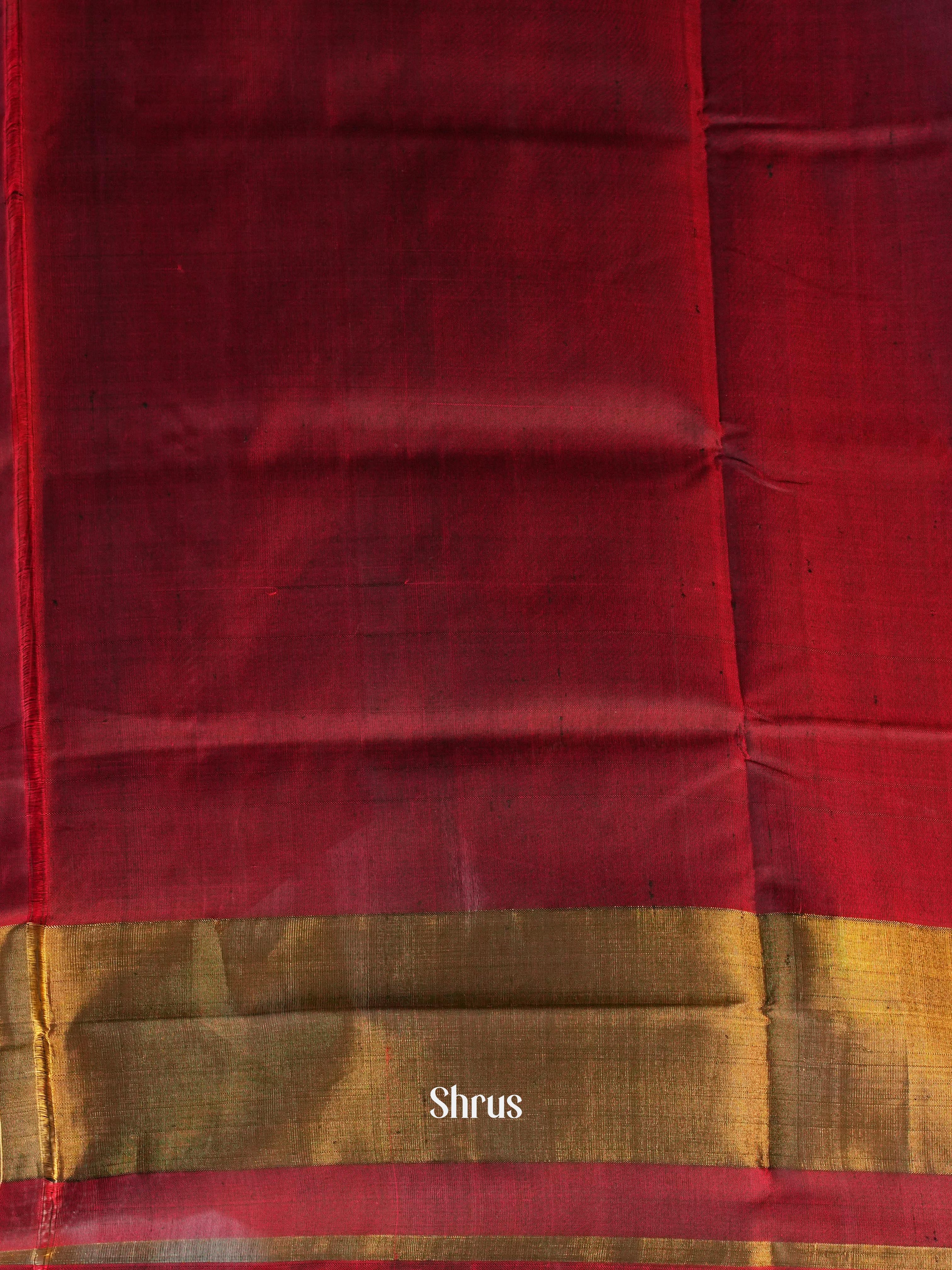 Maroon & Green - Rajkot Patola Saree