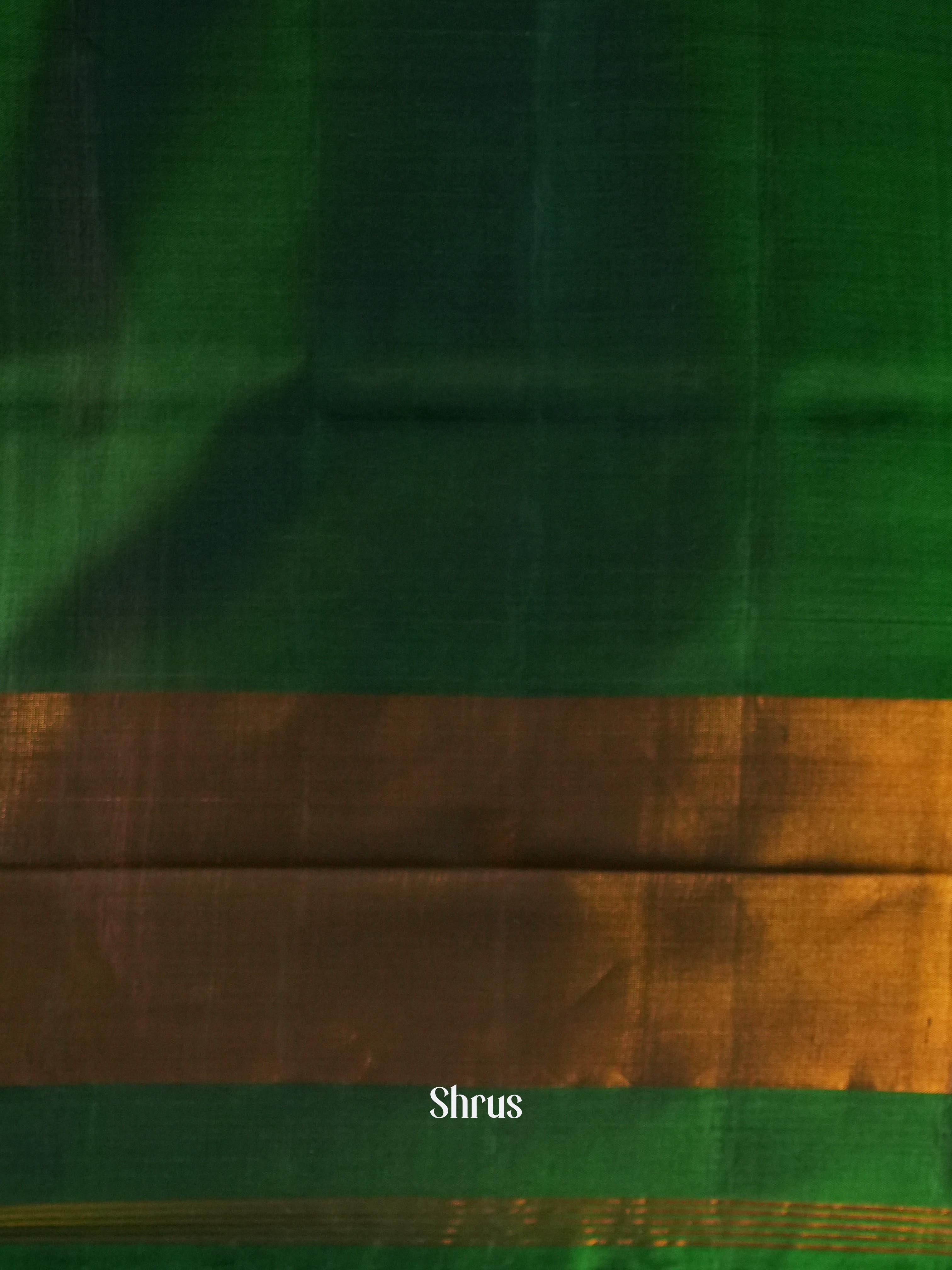 Green & Brown - Rajkot Patola Saree